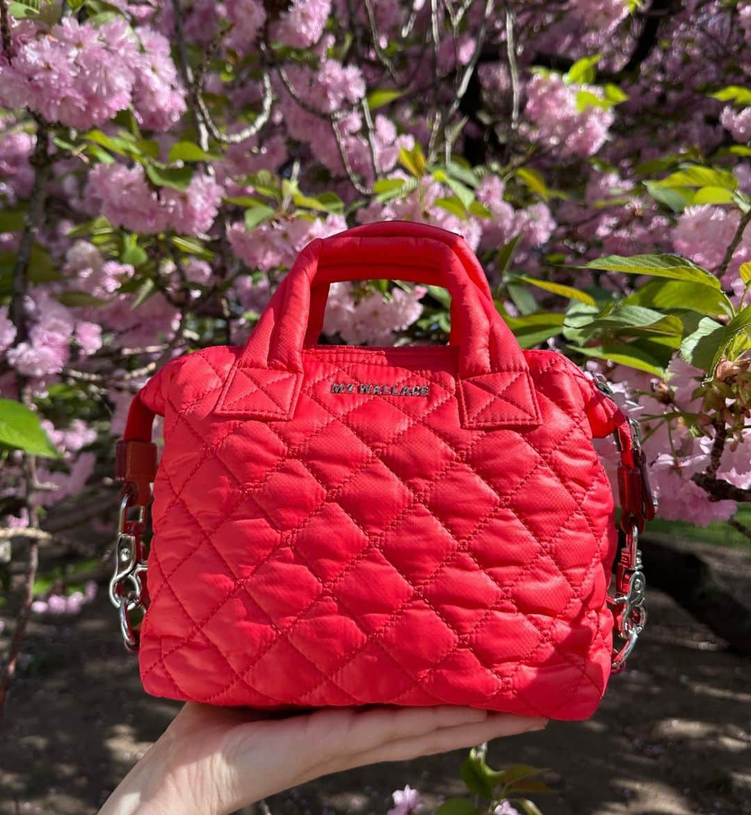 MZウォレスさんのインスタグラム写真 - (MZウォレスInstagram)「POV: It’s cherry blossom season but you can’t take your eyes off of Coral.」4月26日 6時06分 - mzwallacenyc