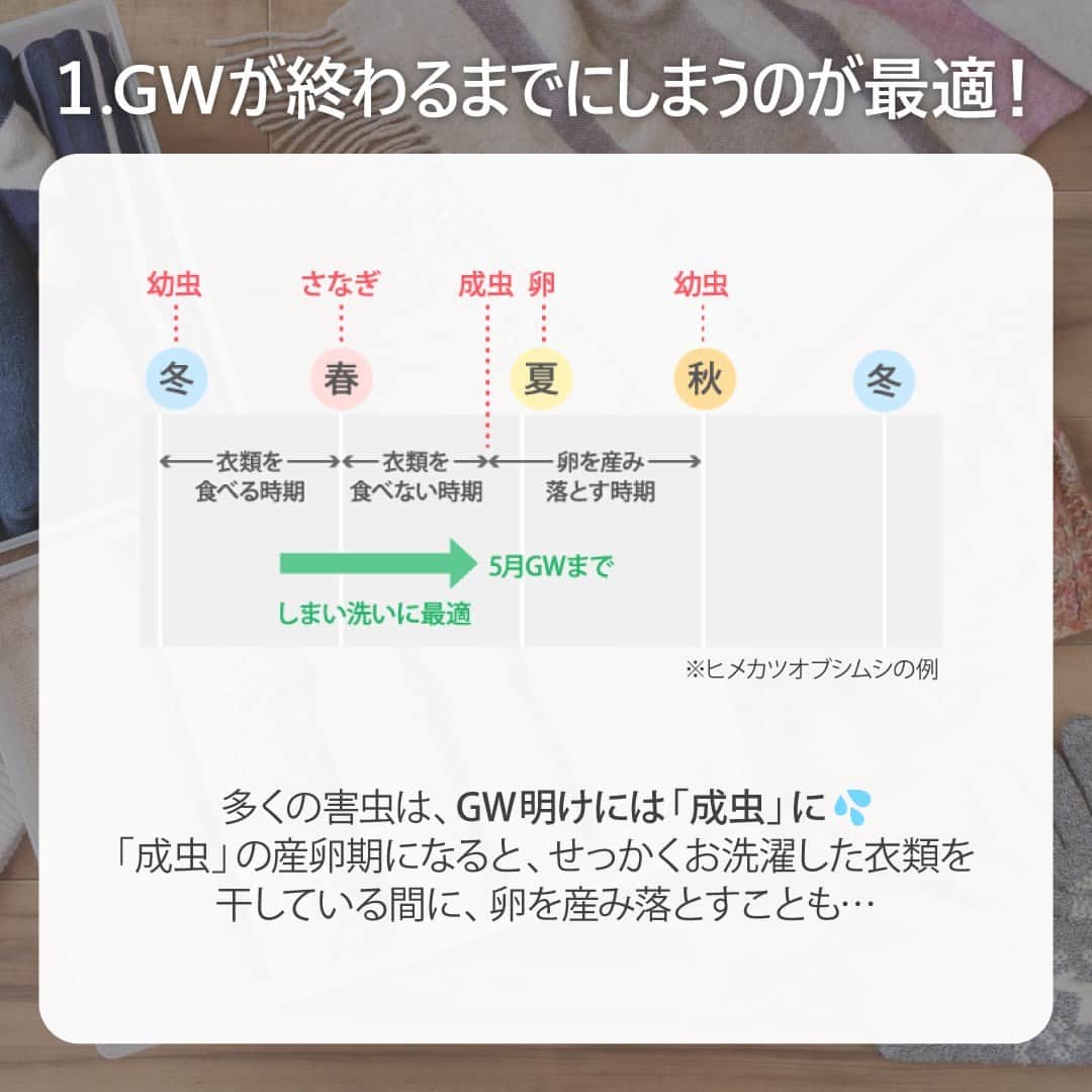 irodori - くらしを彩るウェブマガジン -さんのインスタグラム写真 - (irodori - くらしを彩るウェブマガジン -Instagram)「. 【冬物衣類をしまうタイミングと害虫対策】  春の衣替えの3つのポイント💡  🎏GWが終わるまでにしまう 🌀一度でも袖を通した服はお洗濯を 👿防虫剤を必ず入れる  上手に衣替えをして、 来年もお気に入りの衣類を楽しみましょう🌸  ------------------------------------------------------------------ ライオンが運営する 「Lidea」 公式Instagramアカウントです🦁 Lideaではライオンの賞品が当たるプレゼントキャンペーンを実施中！くわしくはプロフィールからどうぞ⇒ @Lidea_lion ------------------------------------------------------------------  #Lidea #LION #ライオン #ライオン株式会社 #暮らしのアイデア #ライフハック #暮らしの知恵 #生活の知恵 #暮らしの工夫 #暮らしを豊かに #洗濯 #洗濯日和 #洗濯好き #洗濯方法 #衣替え #春の衣替え #防虫剤 #しまい洗い #アクロン #アクロンスマートケア」4月26日 12時00分 - lidea_lion