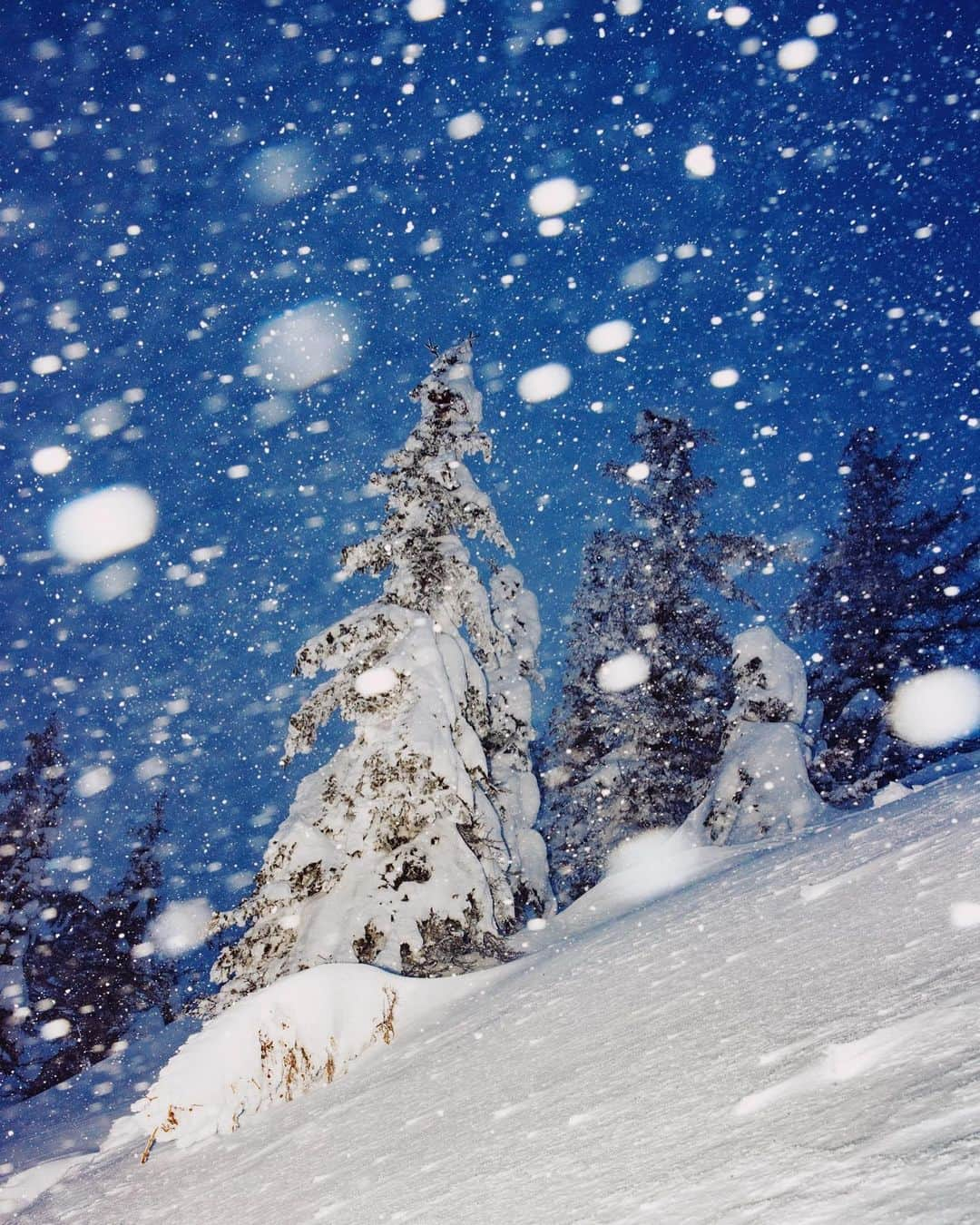 Alex Strohlのインスタグラム：「Moments between the forest and the alpine. Part of living in Montana is dealing with the mostly terrible weather that  unfolds all winter long.. I find myself wanting to go shoot in the middle of a storm because the energy is so high in the air. It’s a decent challenge to try to convey it in my work. @salomon」