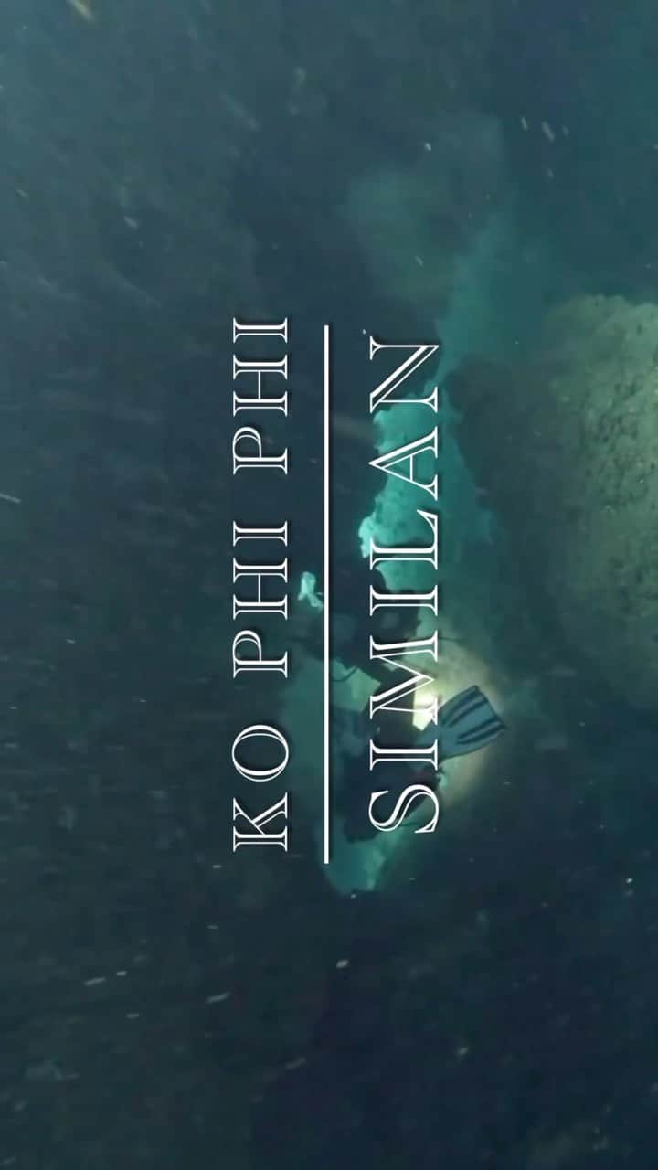 コ・ボギョルのインスタグラム：「🐠🌏🐟this love🐡💙🦞」