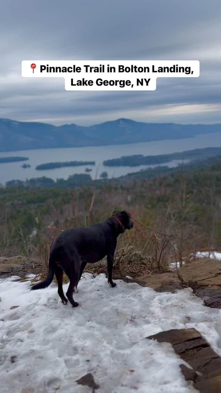 animalsのインスタグラム：「The Pinnacle hiking trail in Bolton Landing - Lake George, New York 🐶🥾 .  ▪️Moderate hike ▪️2.1M long (Red Trail) ▪️Lake George, NY, USA 🇺🇸 ▪️Date: December 30th, 2022」