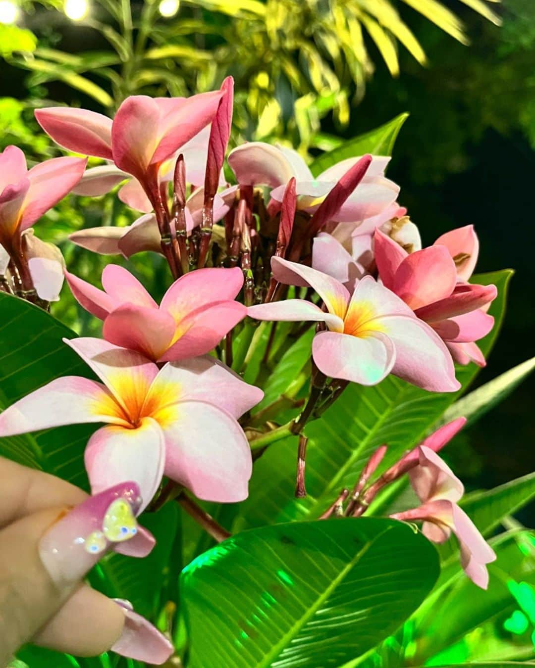 RINAのインスタグラム：「チャンチューイの村🌿」