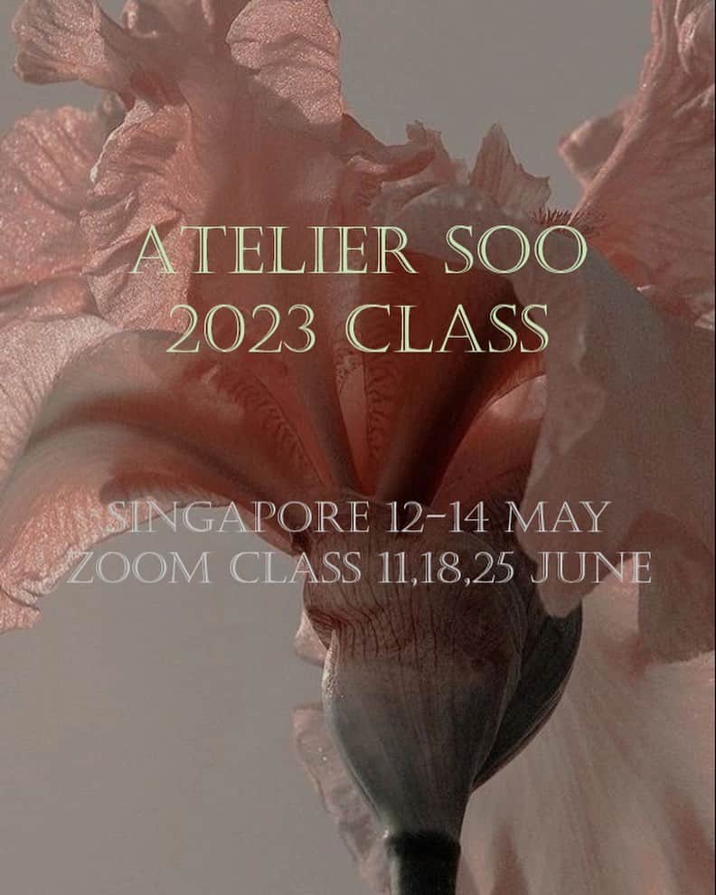 청담 수케이크 (atelier soo)のインスタグラム：「ㅡ 2023. Atelier soo class.  Learn to pipe realistic buttercream flowers,coloring, techniques. For more information, please contact  🔸 Singapore  ⬇️ @febspantry   ㅡ 🔸 Zoomclass  ⬇️ Wechat: Joeonrim line: joeonrim Whatsapp: +821081818678 joeonrim@gmail.com ㅡ  Thank you 🌸」