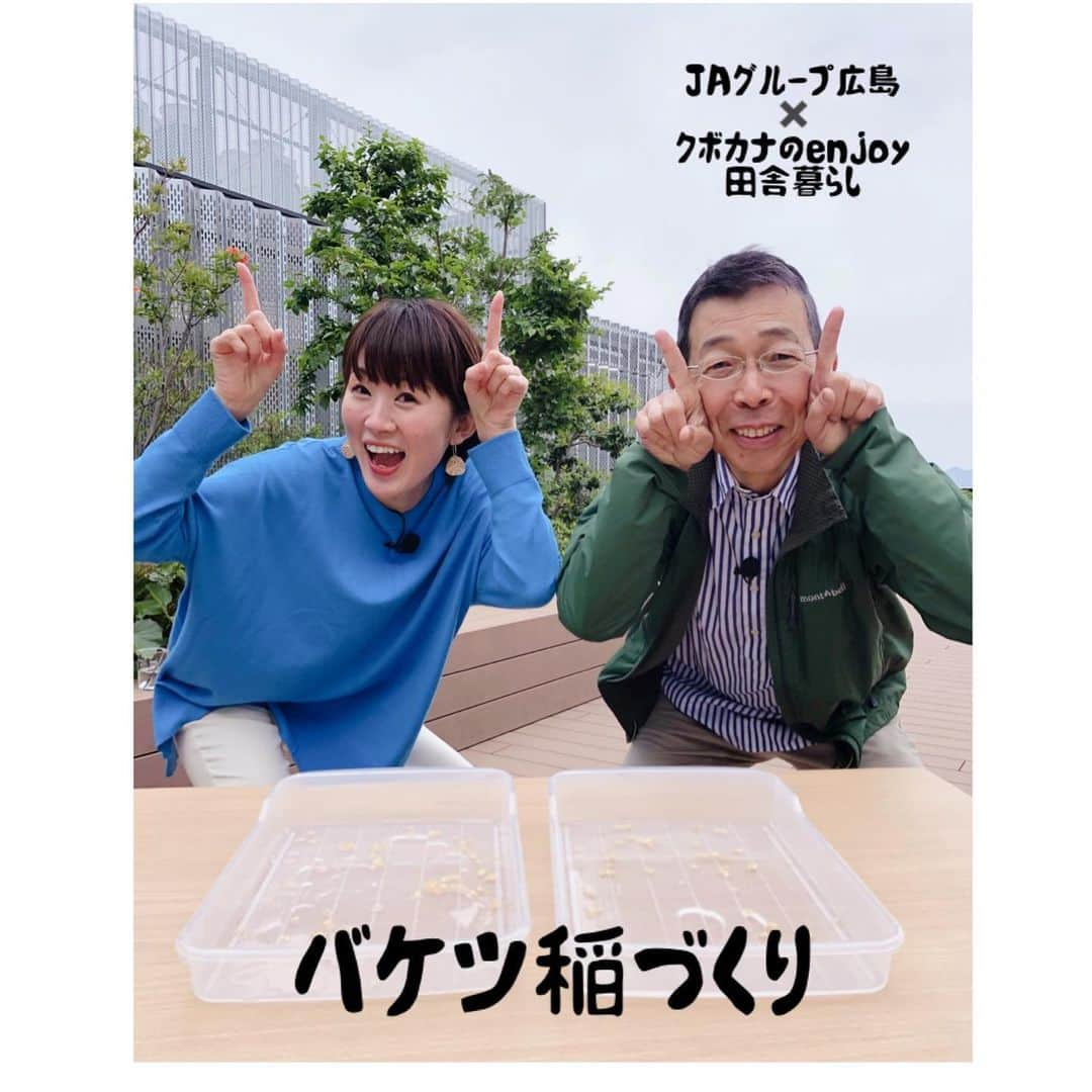 久保田夏菜のインスタグラム：「JAグループ広島✖️満点ママ「クボカナのenjoy田舎暮らし」のコラボで バケツ稲づくりにチャレンジすることになりました！  わが家では米作りをしていますが いつも業者さんから苗を買っているので 種もみから育てるのは初めて。 どんな感じで成長するのか、 その前に芽は出てくるのか？、ソワソワ、ドキドキ、ワクワクしてます！！  この日は、 種もみを水に浸して芽を出す芽出しをやりました。  うまくいけば 1週間後くらいに 芽が出るはず！  番組内でも 稲の成長の様子をお伝えしていく予定です^_^  @tss_mantenmama  @jagrouphiroshima   #JAグループ広島　#バケツ稲づくり　#バケツ稲チャレンジ　#満点ママ　#TSS #クボカナのenjoy田舎暮らし #田舎暮らしを楽しむ」