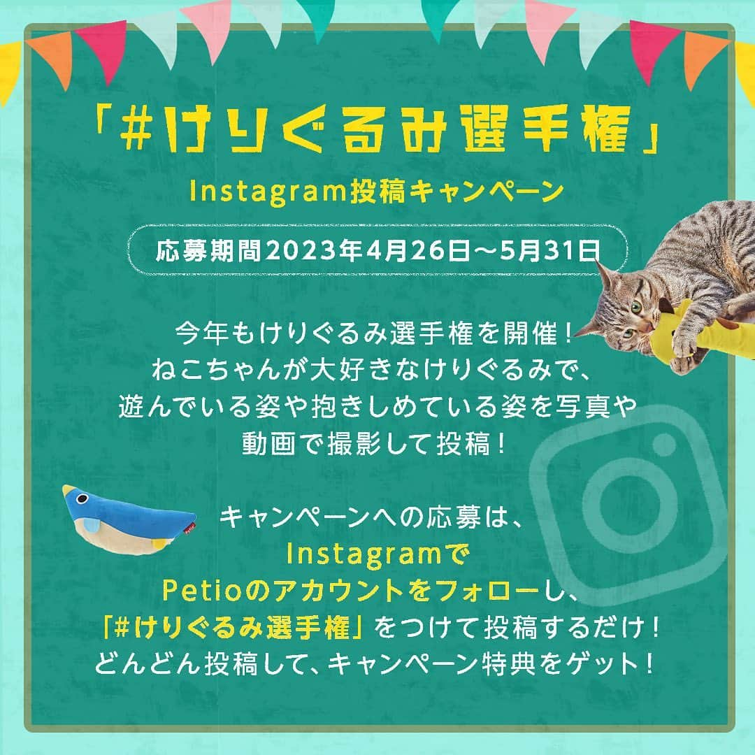 Petioさんのインスタグラム写真 - (PetioInstagram)「#けりぐるみ選手権 2023🦐 『けりぐるみ2023』開催っ！  ねこさんたちに大人気のおもちゃ『けりぐるみ』。 そんな「けりぐるみ」を使った写真/動画投稿キャンペーンを実施✨  ねこさんたちによってけりぐるみの遊び方は様々♪ ネコキックしている様子はもちろん 一緒にお昼寝していたり、 ぎゅーっと抱きしめたり、 けりぐるみとうちのコのいろんな瞬間を写真や動画で撮って投稿してね📷  詳しくはプロフィールのURLからチェック💡 @petio_  ◼︎キャンペーン期間 20223.4/26 - 5/31  たくさんこご参加お待ちしていますっ！  _______________  #けりぐるみ  #キャンペーン #キャンペーン実施中 #投稿キャンペーン  #アメショ #猫 #ねこ #cat #cats #にゃんこ  #petio #ペティオ #ペティオと一緒 #ペティオのおもちゃ   #catsofinstagram #cats_of_instagram #catstagram #kawaii #かわいい #meow #catlover #おもちゃ #toy #猫じゃらし #遊ぶ猫 #じゃれる #遊ばずにはいられない #楽しい時間 #遊ぼ」4月26日 10時04分 - petio_