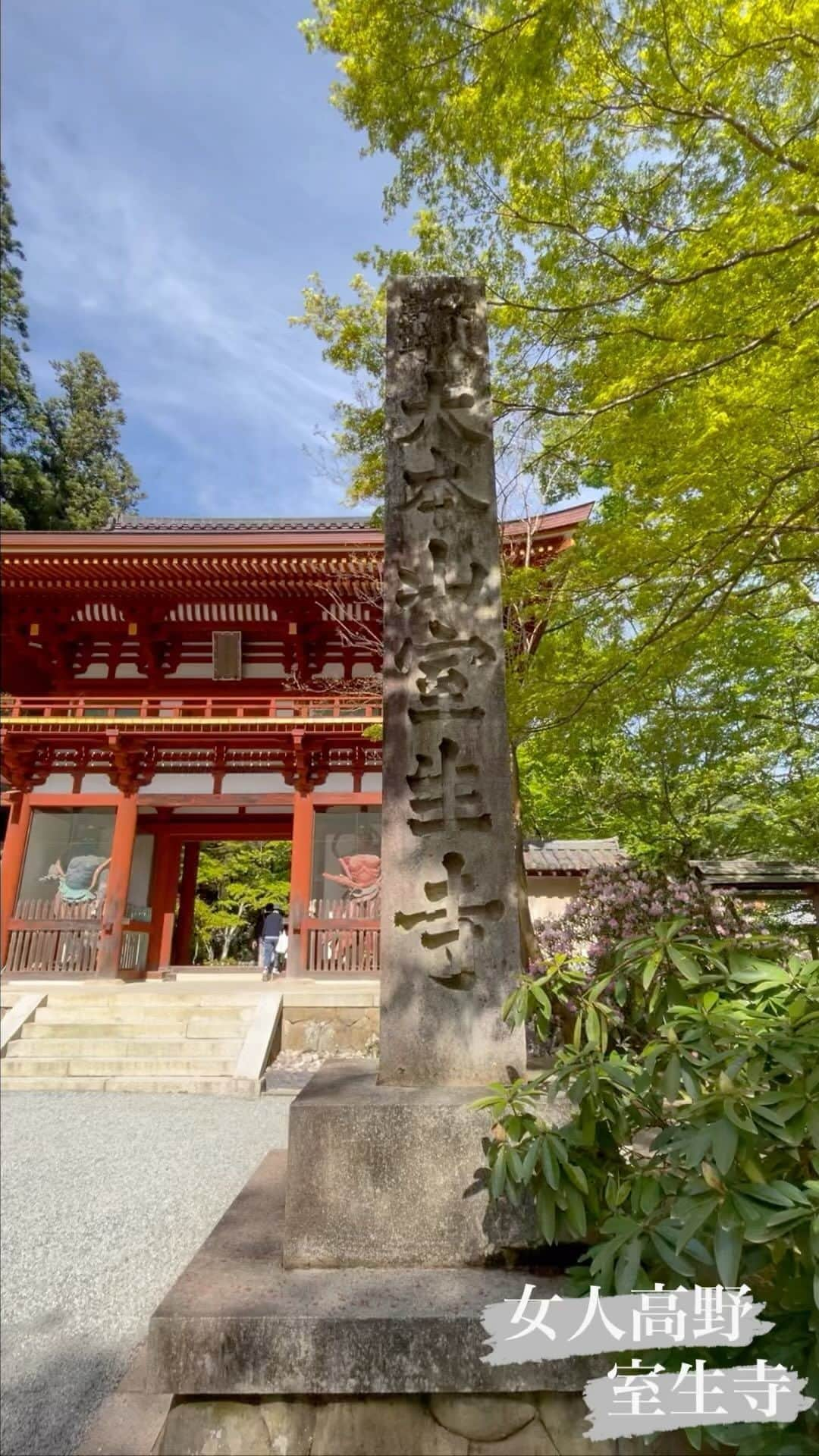 小嶋晶子のインスタグラム：「女人高野 室生寺  #女人高野室生寺 #女人高野 #室生寺  #室生寺奥の院  #室生寺五重塔  #室生寺のシャクナゲ  #muroujitemple #rhododendron」