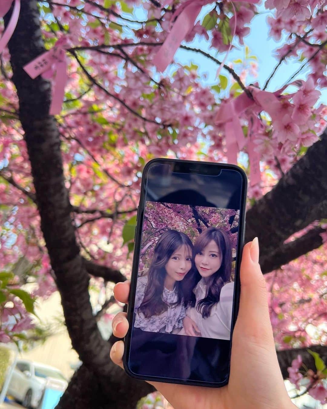 薄井美樹さんのインスタグラム写真 - (薄井美樹Instagram)「. 今年は沢山 桜を見れたなぁ🌸🌸  相変わらず可愛い桜神宮⛩✨」4月26日 10時46分 - mikiusui_211