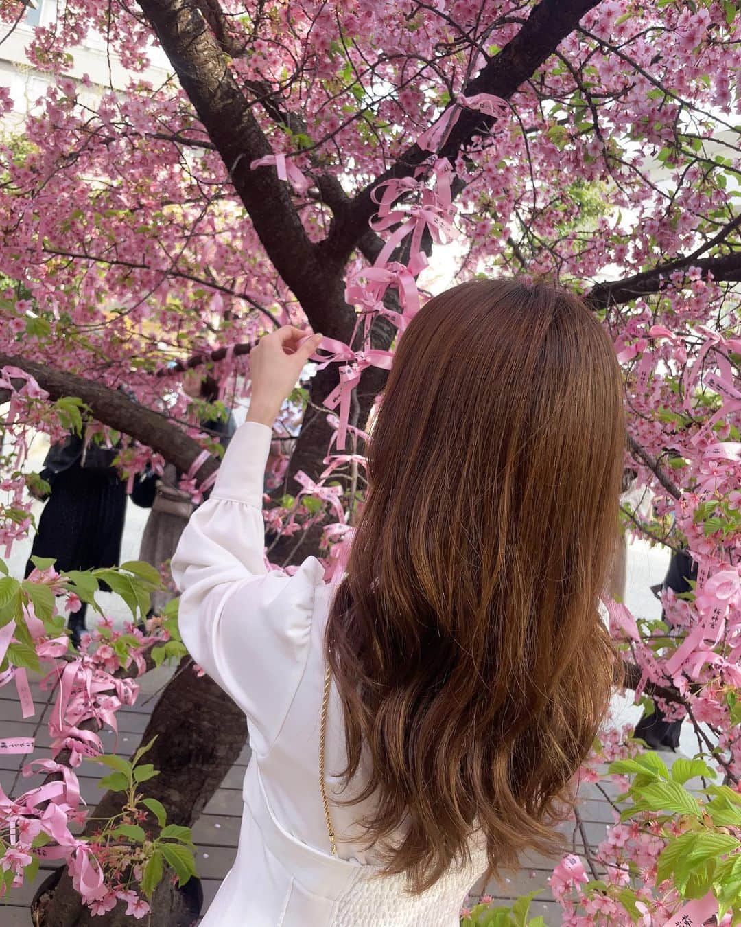 薄井美樹さんのインスタグラム写真 - (薄井美樹Instagram)「. 今年は沢山 桜を見れたなぁ🌸🌸  相変わらず可愛い桜神宮⛩✨」4月26日 10時46分 - mikiusui_211