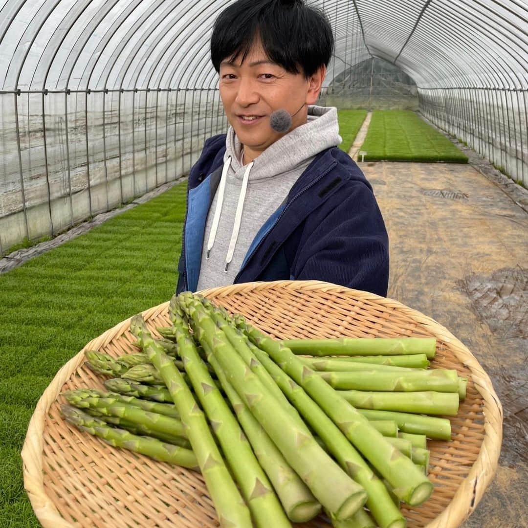 依田司さんのインスタグラム写真 - (依田司Instagram)「4月26日（水） 栃木県市貝町にある『小塙農園』では、アスパラガスが収穫の最盛期を迎えています。 春アスパラは冬に蓄えた栄養をたっぷりと含んでいるため、甘くて瑞々しい食感を楽しめます。 アスパラの全国収穫量１位は北海道ですが…その北海道の牧場会社が１９年前に市貝町で牧場を開設し、そこで出た、良質なたい肥を使って始まったのがアスパラ作りだったそう。いまでは、市貝町の特産品になっています。 農家さんオススメのアスパラのオリーブオイル炒めや肉巻、アスパラのポタージュもご紹介しました。  #小塙農園 #アスパラガス #goslowcaravan #ゴースローキャラバン  #依田さん #依田司 #お天気検定 #テレビ朝日 #グッドモーニング #気象予報士 #お天気キャスター #森林インストラクター #グリーンセイバーアドバンス #プロジェクトワイルド #IPCC伝導者 #japan #japantrip #japantravel #unknownjapan #japanAdvenそture #japanlife #lifeinjapan #instagramjapan #instajapan #療癒 #ilovejapan #weather #weathercaster #weatherforecast」4月26日 10時41分 - tsukasa_yoda