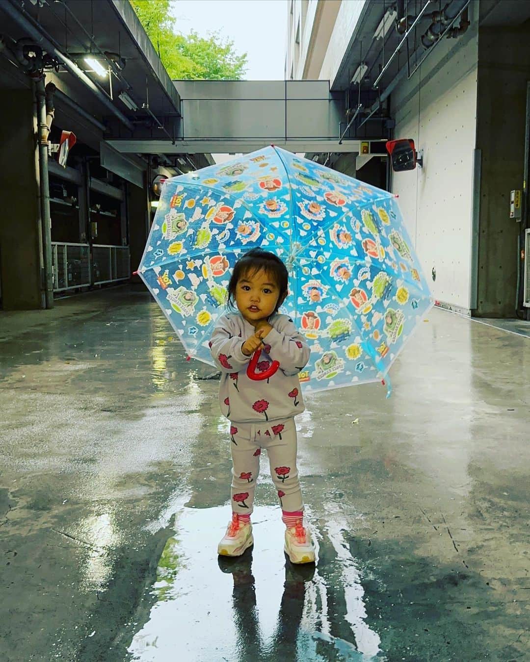 久永輝明のインスタグラム：「雨で散歩に行けないと言ったら、傘をさしていくとにぃにの傘を持って玄関から動かなかったので、パパは負けました。 #ちびの #成長記録 #ワガママさは写真に映らんw」