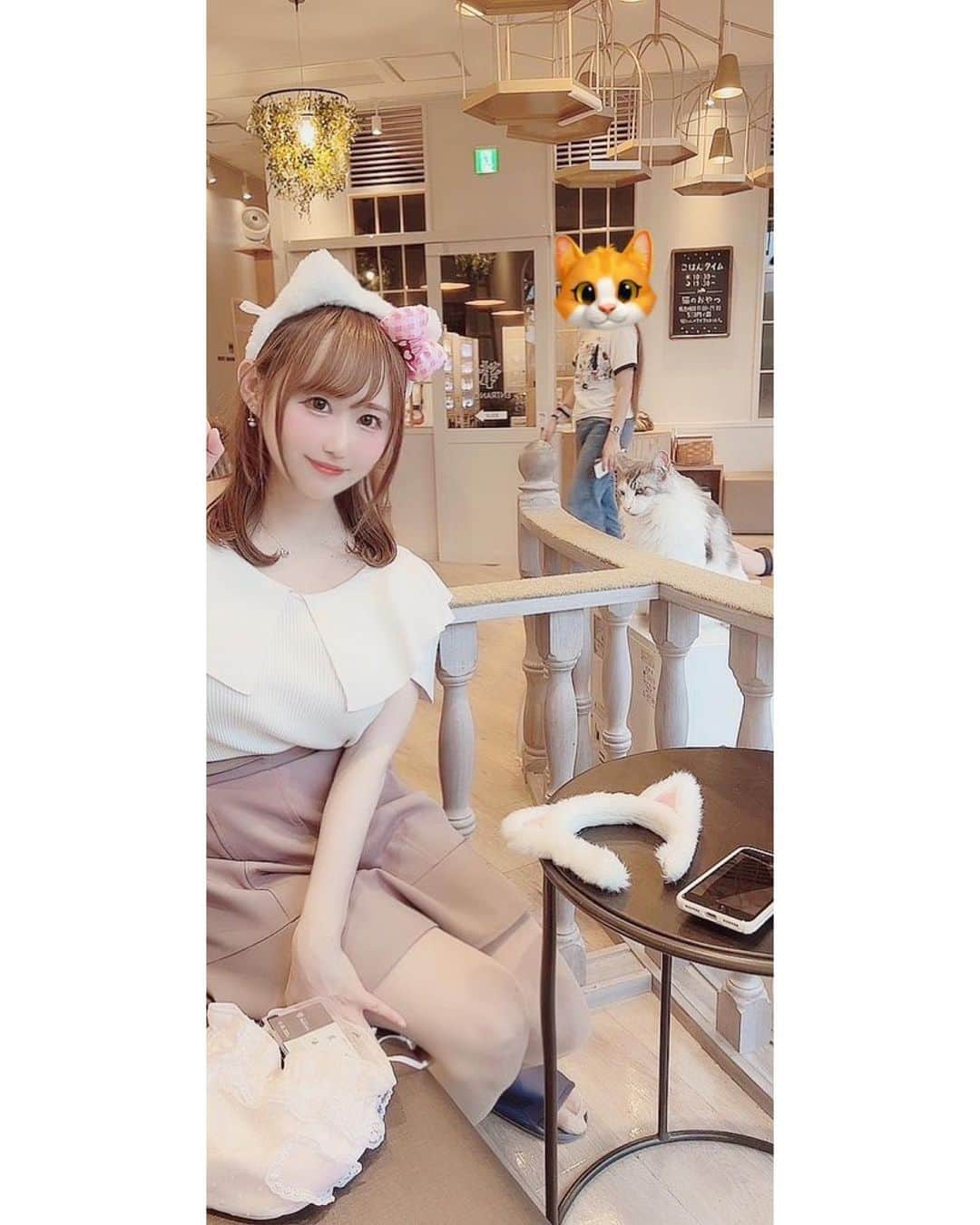 吉田麻衣子さんのインスタグラム写真 - (吉田麻衣子Instagram)「猫カフェ🐈mocha原宿へ☕️💓 @catcafemocha   可愛い猫ちゃんたちにとにかく癒されました🐈💓 #猫カフェ #猫カフェmocha  #猫カフェモカ  #猫カフェモカ原宿 #原宿 #猫 #原宿カフェ #🐈☕️ #pr #instagood  #instalike #instafollow  #instahappy  #cat #catcafe」4月26日 20時31分 - maiko.yoshida