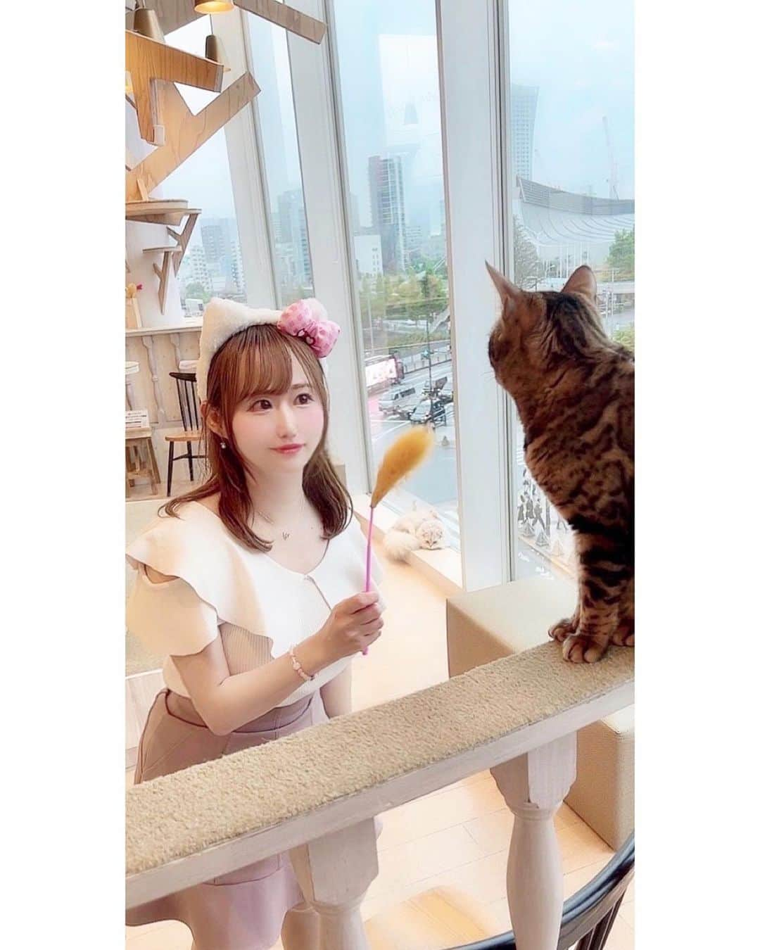 吉田麻衣子さんのインスタグラム写真 - (吉田麻衣子Instagram)「猫カフェ🐈mocha原宿へ☕️💓 @catcafemocha   可愛い猫ちゃんたちにとにかく癒されました🐈💓 #猫カフェ #猫カフェmocha  #猫カフェモカ  #猫カフェモカ原宿 #原宿 #猫 #原宿カフェ #🐈☕️ #pr #instagood  #instalike #instafollow  #instahappy  #cat #catcafe」4月26日 20時31分 - maiko.yoshida