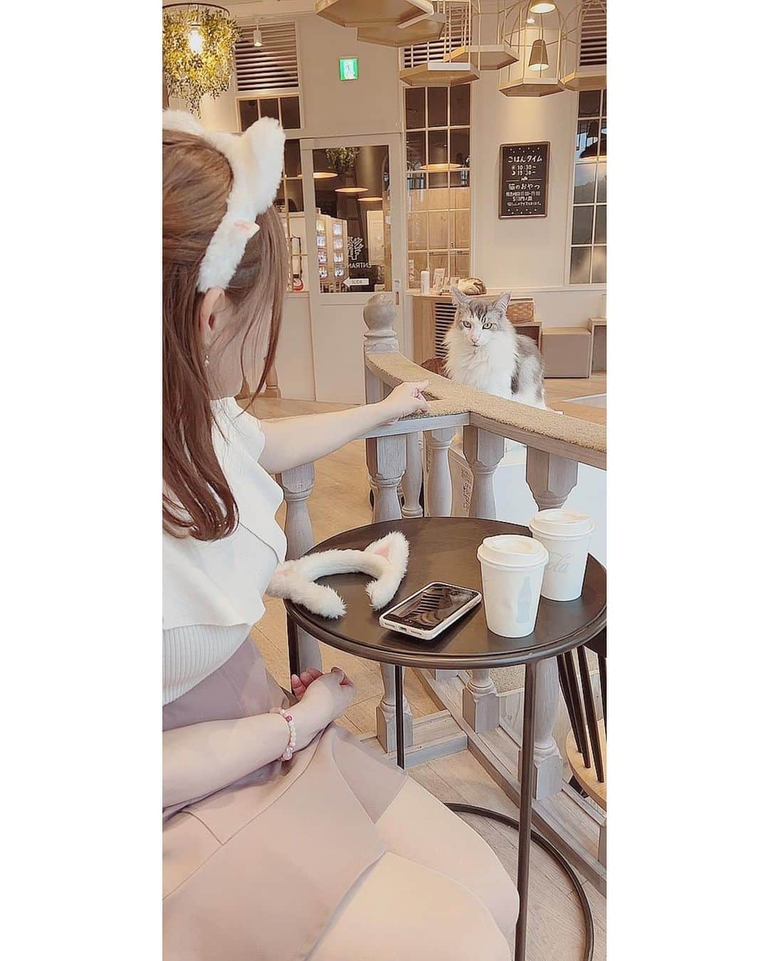 吉田麻衣子さんのインスタグラム写真 - (吉田麻衣子Instagram)「猫カフェ🐈mocha原宿へ☕️💓 @catcafemocha   可愛い猫ちゃんたちにとにかく癒されました🐈💓 #猫カフェ #猫カフェmocha  #猫カフェモカ  #猫カフェモカ原宿 #原宿 #猫 #原宿カフェ #🐈☕️ #pr #instagood  #instalike #instafollow  #instahappy  #cat #catcafe」4月26日 20時31分 - maiko.yoshida