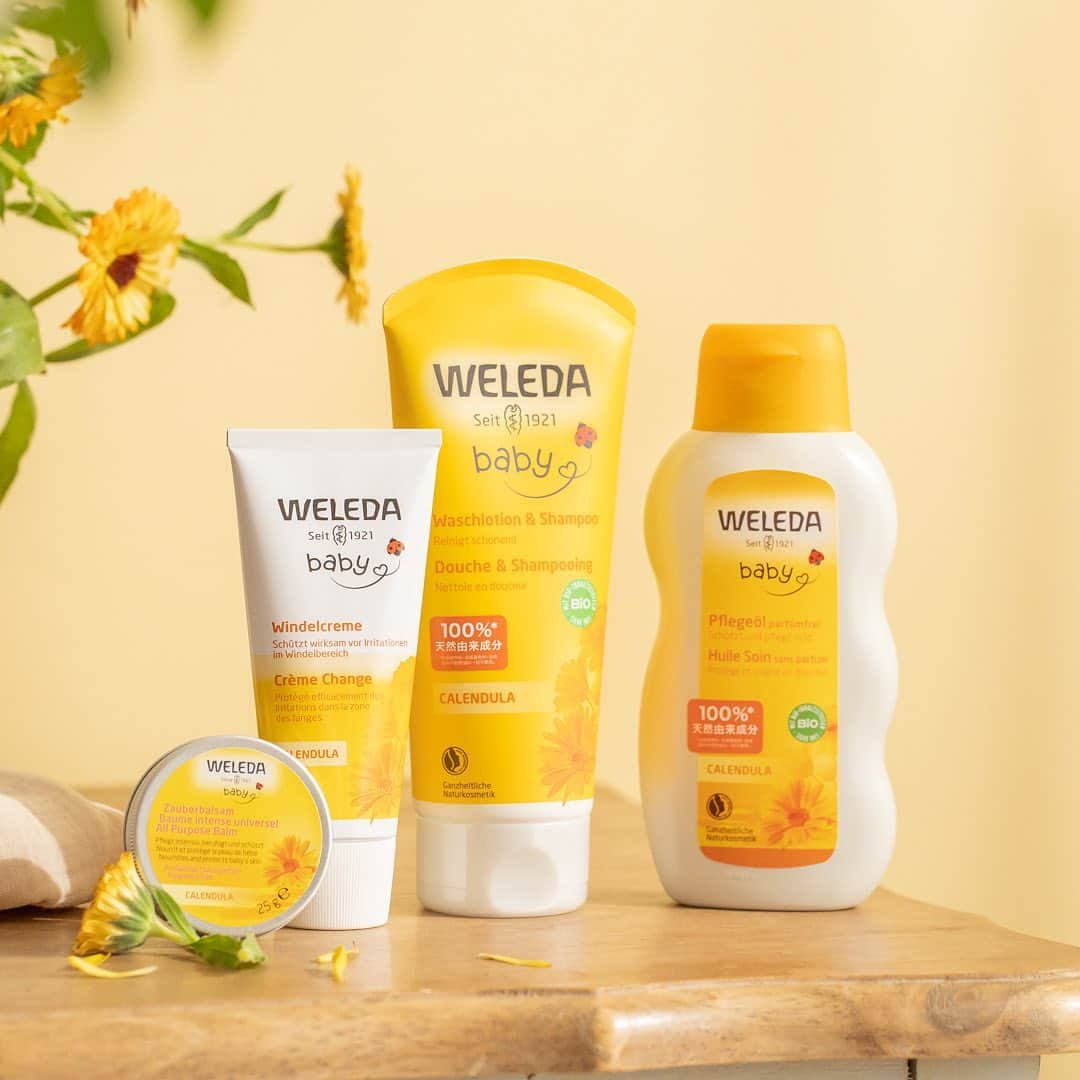 ヴェレダ Weleda Japanさんのインスタグラム写真 - (ヴェレダ Weleda JapanInstagram)「【まるでポカポカ太陽のあたたかさ｜赤ちゃんの肌ケア】  ぽかぽか陽気が気持ちいい季節。  柔らかい春の日差しのように、赤ちゃんのデリケートな肌も優しく包み込んであげたい。  そんな想いを持つママパパさんにおすすめしたいのが、ヴェレダの＼ カレンドラベビーシリーズ ／  太陽からたっぷりの光と熱を吸収し、みずみずしい茎・葉・花に変えていくカレンドラは「太陽の花嫁」という別名を持つほど輝き満ちています。  そのあたたかさでデリケートな肌を包み込んで守り、健やかな毎日を支えます。  生後1日目からお使いいただける低刺激で優しいアイテムなので、赤ちゃんはもちろん敏感肌の大人の方もお使いいただけます！  ポカポカ陽日にぴったりな天然由来成分100%の優しい香りで、癒しの時間に。  ■ベビーオイル(無香料)　 ￣￣￣￣￣￣￣￣￣￣￣￣￣￣￣￣￣￣ デリケートな赤ちゃん肌向け、無香料*1処方のベビーオイル。  生後1日目からから大人まで、デリケートな肌をやさしくケアします。  全身の保湿やマッサージ、おむつまわりの汚れ落としなど多目的にご使用いただけます。  軽い感触のオイルが肌にすばやくなじみ、乾燥などの外的刺激から肌を守ります。  入浴やシャワーの後、肌が温まっている時になじませるのが効果的です。  （パッチテスト済*2）  ＜おすすめポイント＞ ・精油に敏感と言われている赤ちゃんにも使用できること ・赤ちゃんに母親のにおいを感じてもらえること  ◼️ カレンドラ ベビーマルチバーム 　 ￣￣￣￣￣￣￣￣￣￣￣￣￣￣￣￣￣￣ デリケートなベビーの肌を外部刺激から守り、肌荒れを予防する、多目的ケアバーム。  保湿、保護、肌荒れを予防ができ、カサついて荒れやすい頬、顎や口まわり、手肌の部分ケアにおすすめです。   ✔ 濃密なバームが肌に保護シールドをつくり、強い乾燥から守る ✔ 植物成分の保湿効果で、肌荒れを防ぐ ✔ ミツロウ不使用のヴィーガン処方 ✔ 唇も乾燥から守る ✔ 生後1日目から敏感な大人の肌にも*2 ✔ 無香料、アルコールフリー  ◼️ カレンドラ ベビーバーム ￣￣￣￣￣￣￣￣￣￣￣￣￣￣￣￣￣￣ おむつのムレやこすれによる肌荒れを防ぎ、ベビーのおしりを快適に保つクリーム。  赤ちゃんのおむつ替えの時に、カレンドラ ベビーオイルなどでおしりの汚れを落とした後、クリームを優しく赤ちゃんのお尻になじませます。  塗ったあとはさらさらの肌に。  汗ばみやすい背中や首まわりのケアにもお使いいただけます。  やさしいハーブの香り。  ■カレンドラ ウォッシュ&シャンプー ￣￣￣￣￣￣￣￣￣￣￣￣￣￣￣￣￣￣ 目にしみにくい優しい作りの全身用シャンプー。  髪、顔、身体のすべてをこれ1本で洗えるので、お風呂が苦手な方ちゃんもママも嬉しいアイテムです！  クリーミーな泡立ちで、デリケートな肌をやさしく洗い上げます。  目にしみにくので、シャンプーを嫌がらなくなりバスタイムが楽になった、お肌だけじゃなく髪の毛もふわふわになったというお声も多い製品です。  ╭━━━━━━━━━━━━━━━╮  　　カレンドラベビーシリーズを 　  使いたいと思った方は「🌞」  ╰━━━━━━━ｖ━━━━━━━╯ ぜひ、絵文字を使って、[コメント]で教えてください！  --------------------------------------------------- 商品についての詳細は @weleda_japan のトップページリンクからご覧いただけます。  もう一度見たい方は、 ぜひ「保存」ボタンを押してくださいね！  *1 精油で香りを付けていない *2 全ての方に皮膚刺激が起こらないということではありません。 #ヴェレダ#WELEDA#weleda#オーガニック#オーガニックコスメ#植物療法#シュタイナー#ホリスティック#organiccosmetics#유기농 #ベビーマッサージオイル#ベビーケア#ベビースキンケア#ベビーローション#ベビーバス#赤ちゃん肌#赤ちゃん用品#赤ちゃんグッズ#赤ちゃんとお出かけ#おむつかぶれ#おむつ#あせも#保湿#敏感肌用#敏感肌でも安心#敏感肌ケア#乾燥肌スキンケア#乾燥ケア#乾燥肌ケア#デリケート」4月26日 20時58分 - weleda_japan