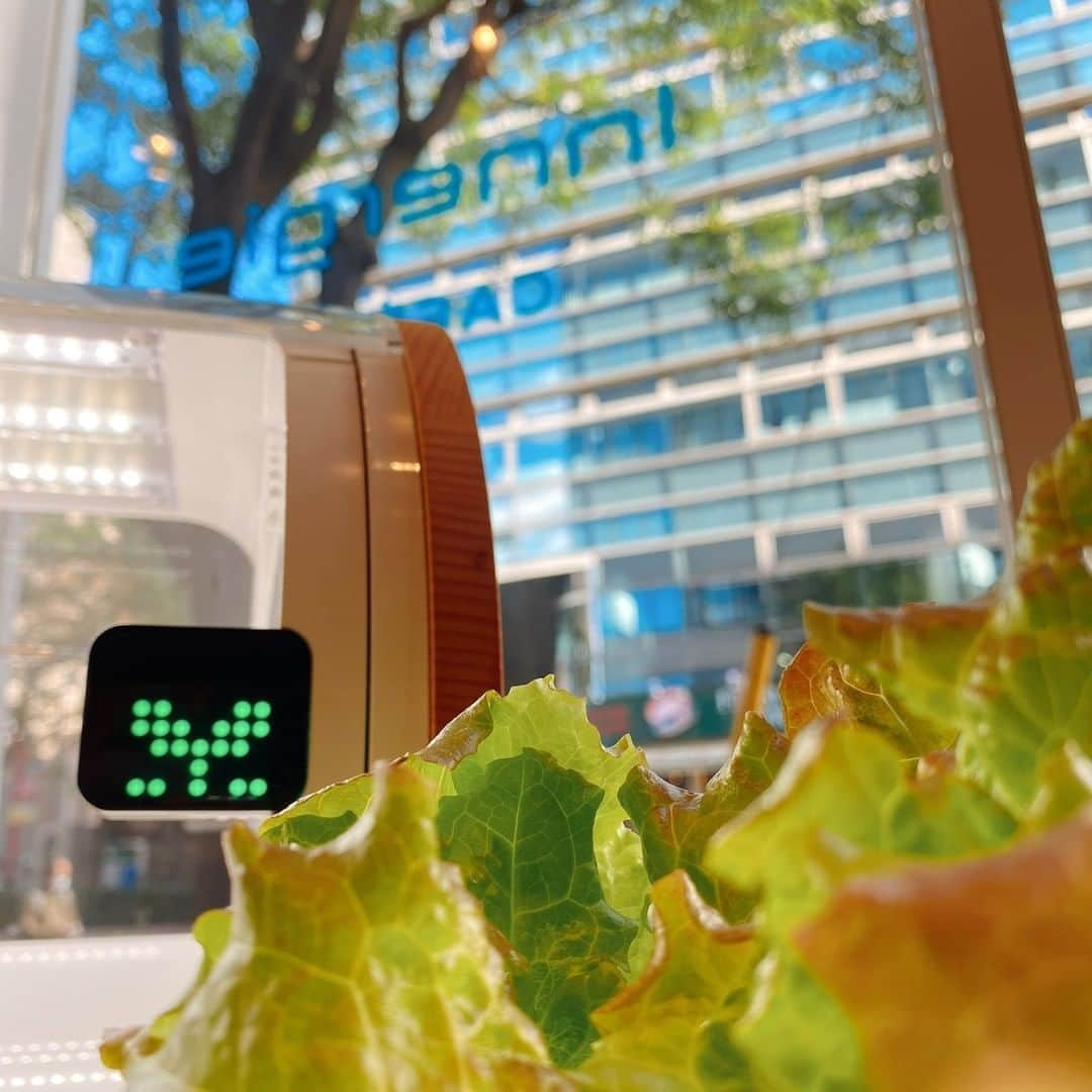 foopのインスタグラム：「野菜を育てるために、庭や畑を所有する必要はありません。 「foop」はコンパクトな水耕栽培器で、自宅で簡単に新鮮な野菜を栽培できます🌱  健康的な生活のサポートに「foop」いかがでしょう😉  #foop #水耕栽培 #家庭菜園 #自給自足  #スマート農業 #IoT #新鮮野菜 #ヘルシー #健康的な暮らし #DIY」