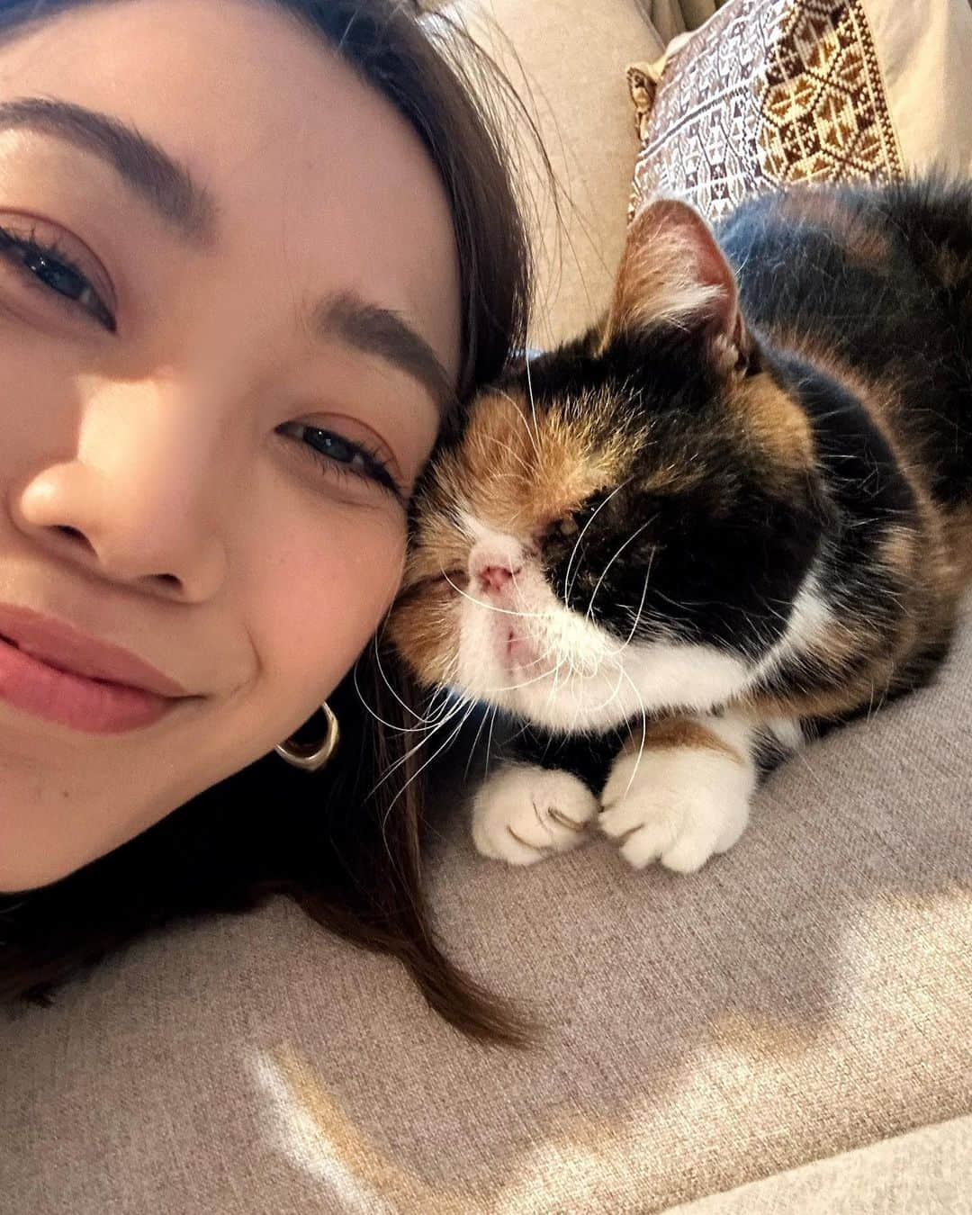 レスレイ・チアンさんのインスタグラム写真 - (レスレイ・チアンInstagram)「My Goddaughter, Lola Remington-Wong! The cutest, cuddliest, sweetest sweetie pie in the whole wide world!! 🥹🥹🥹  @wynlimwong @maxemur   #Lola #exoticshorthair #flatfacecat #cat #thebest #thesweetest #obsessed」4月26日 21時17分 - lesleychianglove