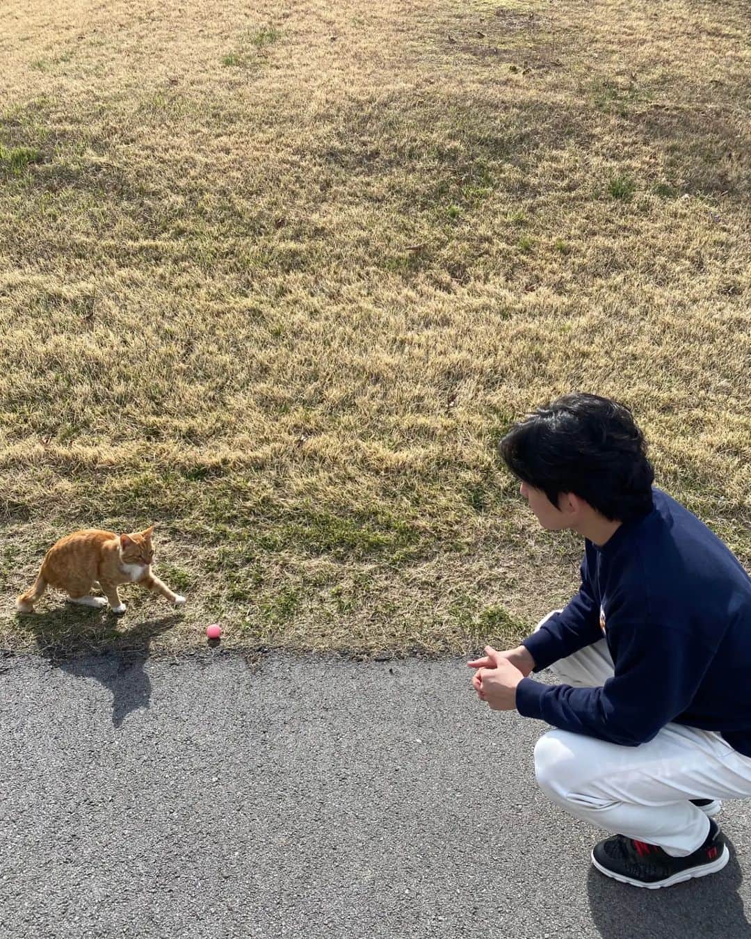 リッキーのインスタグラム：「birdie🙂」