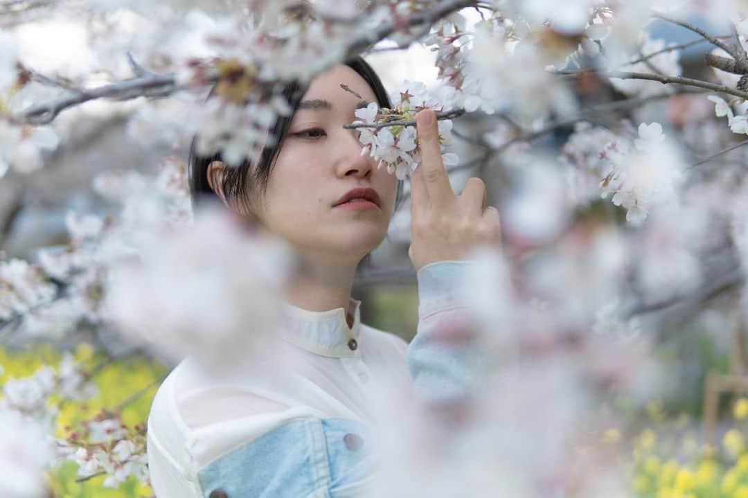 江守沙矢さんのインスタグラム写真 - (江守沙矢Instagram)「桜が近い🌸  #熊谷桜堤 #日本桜100選 #日本さくら名所100選  #桜 #sakura #桜と菜の花 #日本の桜 #springflower #springday #kumagaya #ポートレート #portrait #springflower  #japanspring #japanesegirl  #さくら  #photo #photography 　#jalan_sakura2023 #sakuraportraits  #写真に物語を #物語のある写真を撮りたい  #カメラで日常に魔法を  #絵みたいな写真  #カメラ女子 #季節のポートレート #カメラのある生活　#透明感のある世界 #日々是好日　#日常をドラマチックに #日常をきりとる」4月26日 12時32分 - saya_emori