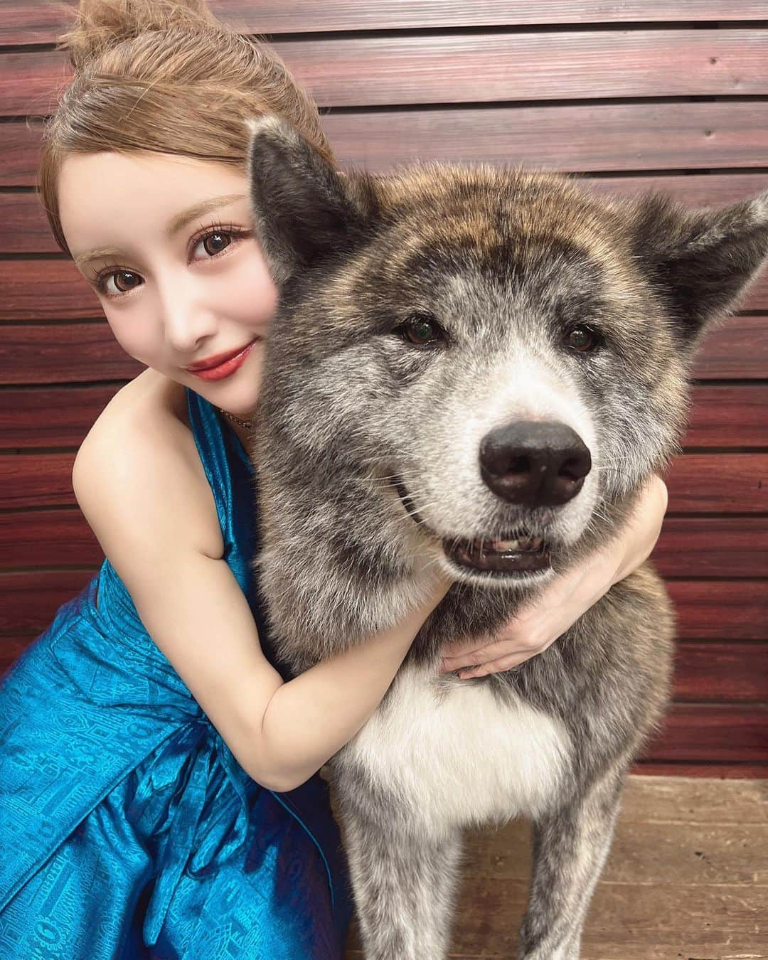 えれちゃんさんのインスタグラム写真 - (えれちゃんInstagram)「不思議くんって名前の秋田犬のわんわん🐕  #ハスキーカフェ #犬カフェ #ハスキー #大型犬 #バンコクカフェ #Bangkok #タイ #Thailand #秋田犬 #カフェ #犬  #南国 #リゾート #旅行 #観光 #オッドアイ  #海外旅行  #バンコク旅行 #イングリッシュシープドッグ #ボブテイル #husky  #大型犬すきな人と繋がりたい」4月26日 12時33分 - erena_hazuki