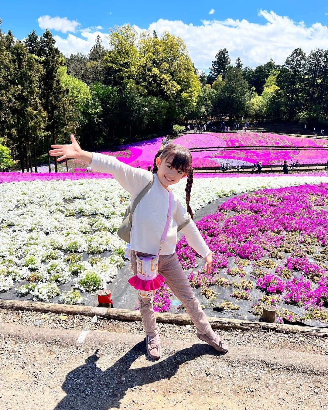 アレン明亜莉クレアさんのインスタグラム写真 - (アレン明亜莉クレアInstagram)「🌸  芝桜を見に行きました🌸 いい天気で気持ちが良かったです  メアリーは白の芝桜が一番好きだそうです🤍  GWはお出かけしますか〜？  #芝桜 #羊山公園 #芝桜2023 #アレン明亜莉クレア #ハーフモデル #子役」4月26日 12時36分 - mary.2015c