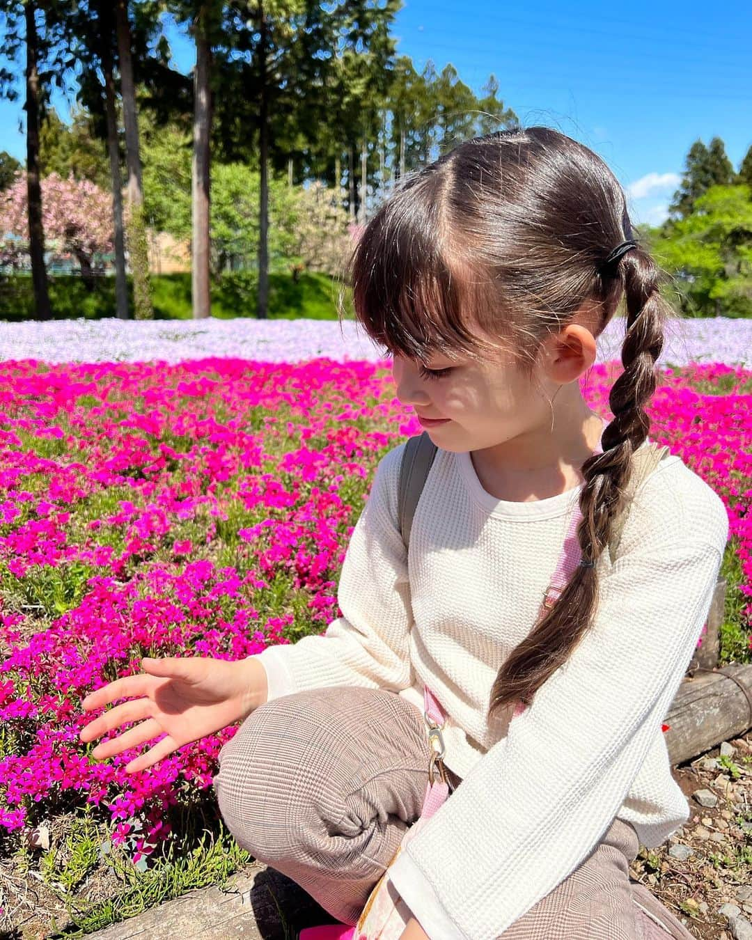 アレン明亜莉クレアさんのインスタグラム写真 - (アレン明亜莉クレアInstagram)「🌸  芝桜を見に行きました🌸 いい天気で気持ちが良かったです  メアリーは白の芝桜が一番好きだそうです🤍  GWはお出かけしますか〜？  #芝桜 #羊山公園 #芝桜2023 #アレン明亜莉クレア #ハーフモデル #子役」4月26日 12時36分 - mary.2015c