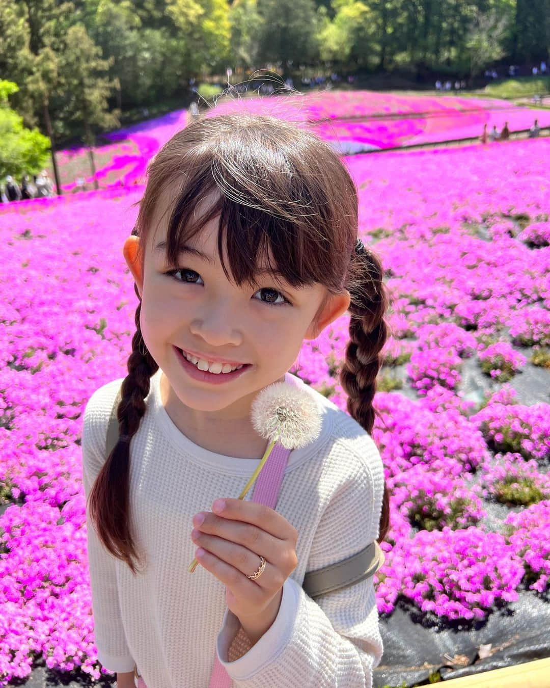 アレン明亜莉クレアのインスタグラム：「🌸  芝桜を見に行きました🌸 いい天気で気持ちが良かったです  メアリーは白の芝桜が一番好きだそうです🤍  GWはお出かけしますか〜？  #芝桜 #羊山公園 #芝桜2023 #アレン明亜莉クレア #ハーフモデル #子役」