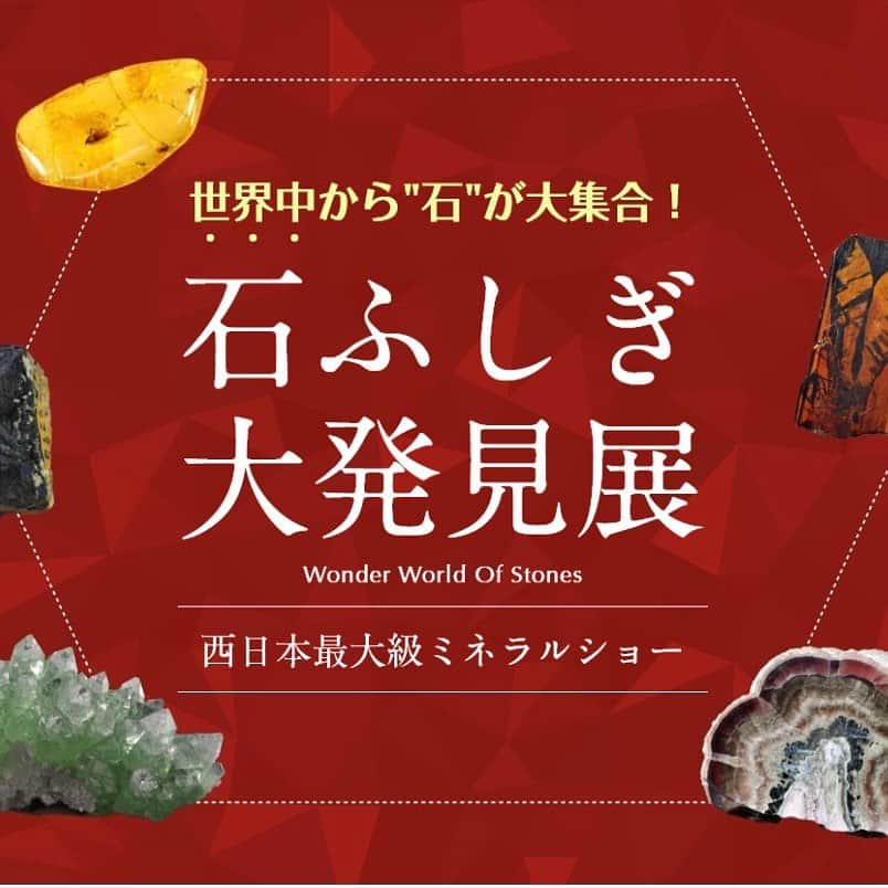 FUKANEさんのインスタグラム写真 - (FUKANEInstagram)「今週末は恒例の大阪ミネラルショー！ 【大阪石ふしぎ大発見展】に出展します。  本イベントに向けても新着を多数用意しました✨  インディゴブルー～パープルのカラーチェンジガーネット。 白熱球で赤にカラチェンします。（産地特定できず）  ベニトアイトの小粒ラウンドカットも入荷しました。  スフェーンもラウンド新入荷あります。  オーストラリア産のバイカラーサファイア、小粒ラウンド初入荷です。  うるうるのオレゴンサンストーンのカボション、おすすめです。今回４０点用意できました。 （在庫まだあるので5月に関東でもお出しできます）  インクルージョン入りナチュラルトパーズ。 ライモナイトin、マイカin、ヘマタイトinなど中の鉱物も特定できた範囲で表記してます。  また、レアストーンも準備しました。  強蛍光するレアストーン・ウィレマイト  天然イエローのレアカラースミソナイト  透明感あるアレキサンドライト  アメリカ産スペサタイトガーネット  ブルー×ピンクのパライバトルマリン、バターリャ産カボション  ブルーとグリーンのレア美麗バイカラーパライバトルマリン（バターリャ産）  これからInstagramでご紹介しますので、ぜひ投稿ご覧くださいませ。  ------------------------------------ 大阪石ふしぎ大発見展  開催日： 2023年4月29日(土)～5月1日(月)  開催時間： 10：00～18：00 （最終日は16:00まで）  会場： 天満橋OMMビル２Fホール  ブースNo.： メイン会場（第６会場）／LB－１９（会場内左奥） ※アンモライトミュージアム @ammolite.museum 様との共同ブースとなります。  □入場にはチケットが必要なイベントとなります。事前にご購入の上ご来場ください。 https://mineralshow.jp/pages/60/  □前日の4/28(金)の内覧会（業者デー）も営業します。お取引条件は口頭でのみお伝えしてますので、現地でお声がけください。 （※入場には「内覧会招待状」が必要です。また一般の方には販売いたしません。） ------------------------------------  皆様のお越しをお待ちしております！  ５～8月の出展予定↓ ------------------------------------ 5月11日(木)｜【沖縄】すとびとフカネと鈴鹿の天然石即売会 in 沖縄 ※5/10(水)業者様・お得意様招待日  5月19日(金)～21日(日)｜【横浜】ミネラルフェスタ in 横浜  5月26日(金)～29日(月)｜【東京】新宿国際ミネラルフェア  6月4日(日)｜【広島】すとびとフカネ の天然石即売会 in 広島※6/3(土)業者様・お得意様招待日  6月11日(日)｜【埼玉】すとびとフカネ の天然石即売会 in 埼玉※6/10(土)業者様・お得意様招待日  7月7日(金)～9日(日)｜【横浜】ミネラルザ・ワールド横浜  7月28日(金)～30日(日)｜【新潟】新潟石ころマーケット  8月11日(金)～13日(日)｜【東京】ミネラルフェスタ東京  8月20日(日)｜【仙台】仙台石フリマ ------------------------------------  #天然石 #宝石 #ルース #ジュエリー #天然石ジュエリー #石好きな人と繋がりたい #gem #gemstones #jewelry #jewels #フカネの石 #fukane  #石ふしぎ大発見展」4月26日 12時52分 - fukane