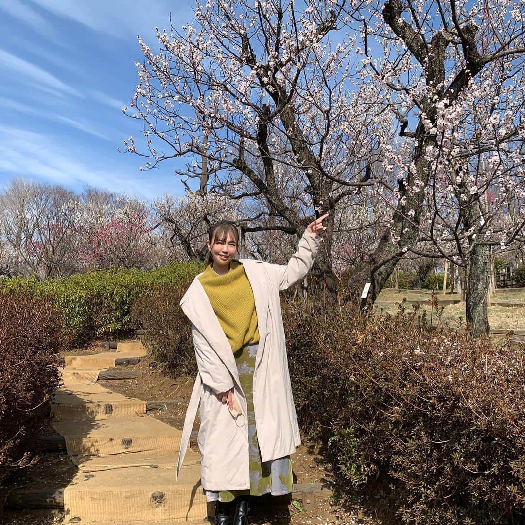 かねさだ雪緒さんのインスタグラム写真 - (かねさだ雪緒Instagram)「今日は雨ですね！ 5月ももうすぐ…！  桜の時期も過ぎてしまいましたが 今年は2か所で桜を見れました🌸 どちらも通りすがりに見ただけなので 桜見🍶✨とまでは言えませんが…！ 丁度桜が満開の土日は雨が多かったので諦めてたので 通りすがりでも綺麗に咲いた桜が見れて嬉しかったなぁ✨🌸  今は躑躅が綺麗ですね 雨やまないかなぁ😐  #桜 #青山霊園の桜」4月26日 13時23分 - yukiokanesada