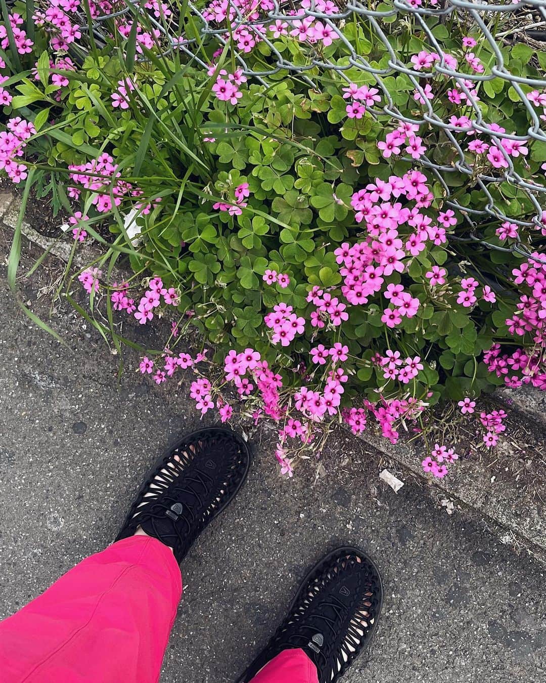 深尾あむのインスタグラム：「お友達とピクニックした日♡ #鞄からスマホ落ちそうだけど #安心してください #ちゃんと無事です」