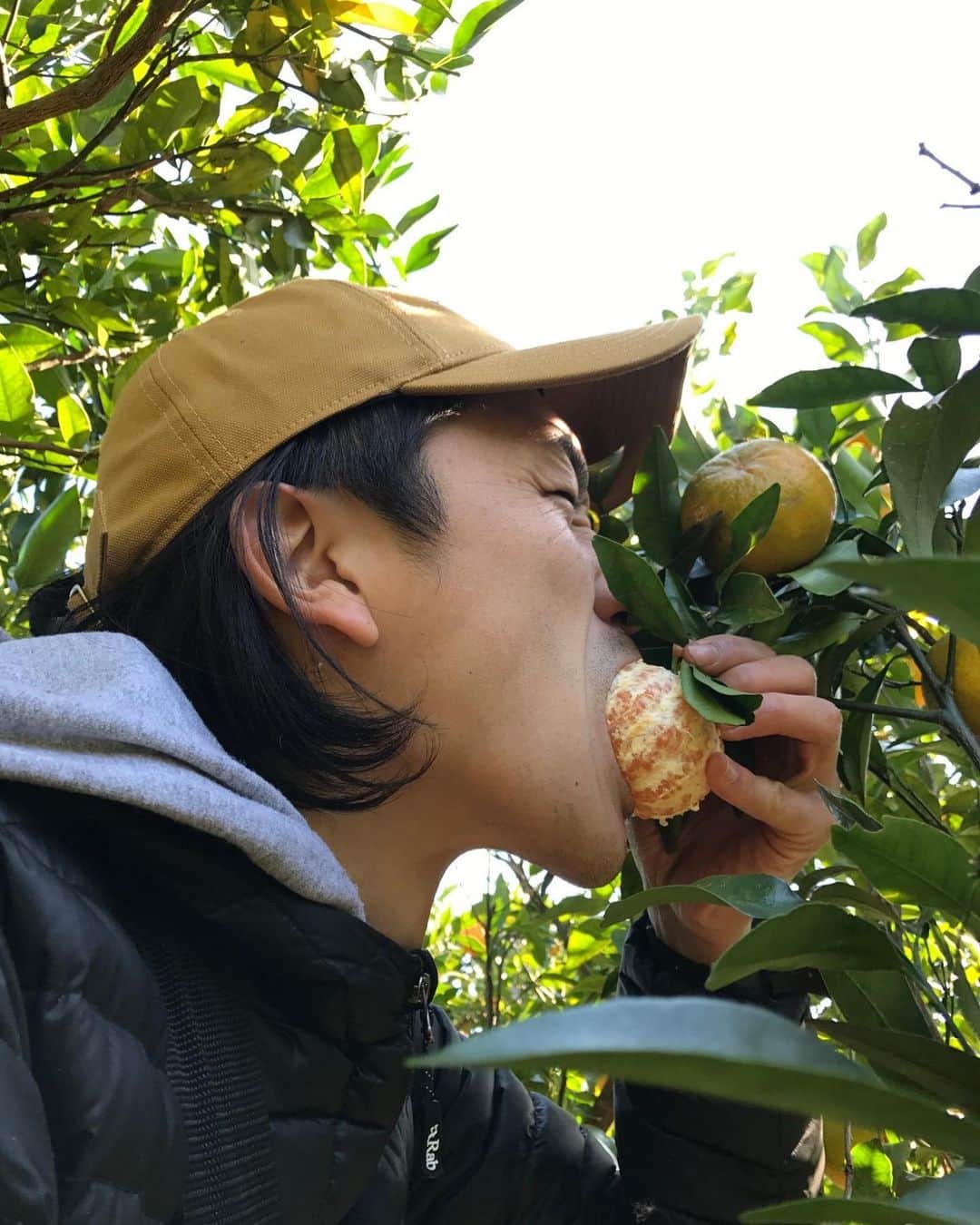Sunshine Juiceのインスタグラム：「広島県産の甘夏が届きました🌞🌞🌞  今日は雨で寒い東京ですが🥶寒暖差などで体調を崩しやすい今の時期、生きたビタミンをしっかりととれて風邪予防や疲労回復にも効果的な柑橘。恵比寿店で搾る、広島から届いた甘夏をぜひ味わってみてください🌞  一番おいしい野菜やフルーツの食べ方。それは木になっている状態で、土から離れていない状態で、植物が生きている状態をそのままパクッと！食べること。  こうやって食べると自然のエネルギーを感じられて生きた栄養を吸収することができるように感じます。サンシャインジュースはできるだけ、そんな自然のエネルギーの強い、生きた植物の栄養をジュースの形でお客様にお届けして、健康ライフを送っていただけるようにしたいと思います。  みなさまのご来店お待ちしております😎   we have received AMANATSU citrus from Hiroshima! Japan is known for the diverse citrus culture, and now its a good season to enjoy many different kinds! we believe that the best way to enjoy the plant nutrition is to eat/drink when they are still in touch with the SOIL, when they are still living. and we are trying to deliver theas fresh living quality of the plant nutrient as possible in juice format to our customers. enjoy the SUNSHINE!  #sunshinejuice#stayjuicy#coldpressedjuice#甘夏#風邪予防#柑橘」