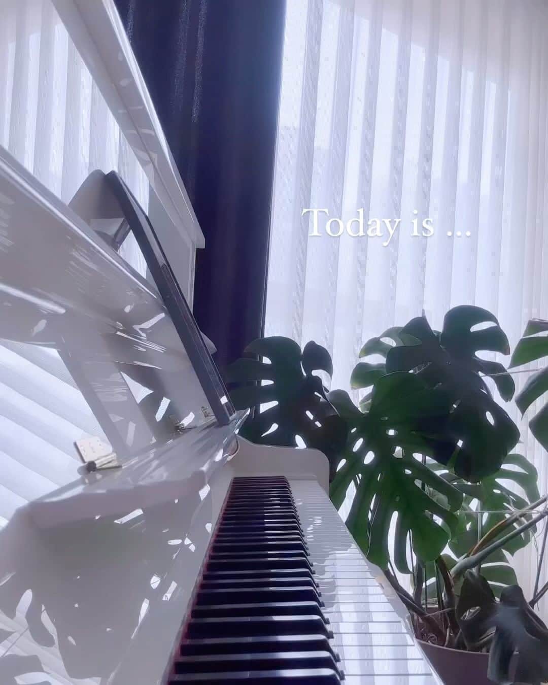 パク・ソルミのインスタグラム：「🌿」