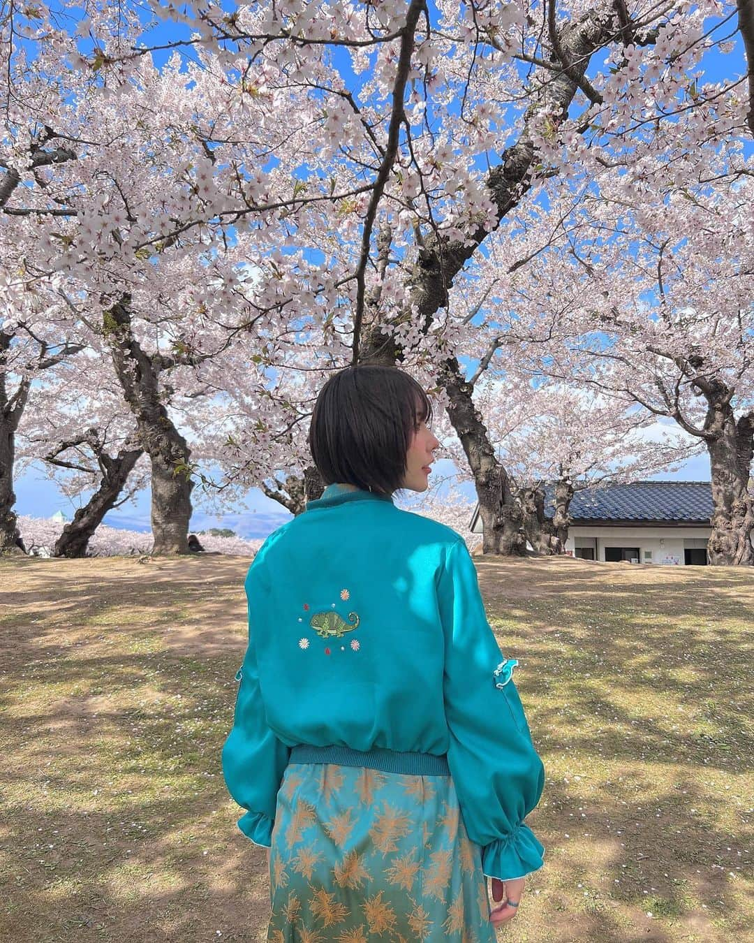 神成藍子さんのインスタグラム写真 - (神成藍子Instagram)「北海道は桜が満開でしたʚ🌸ɞ  嬉しいね🦎💕  #桜 #🌸 #北海道 #北海道旅行 #五稜郭 #函館 #函館観光 #函館観光」4月26日 13時34分 - kanna_nijimura