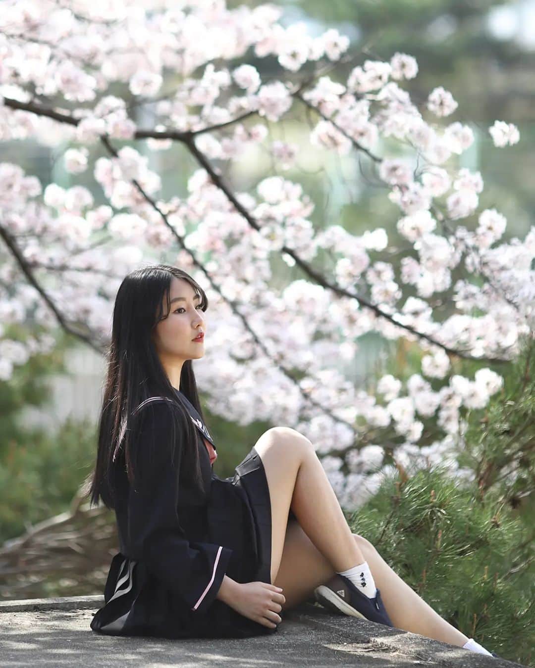 Photographer_善甫(선보)のインスタグラム：「벚꽃 다 지고 여름오는데 올리는 벚꽃사진 🌸」