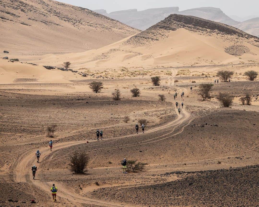 AFP通信さんのインスタグラム写真 - (AFP通信Instagram)「AFP Photo 📷 @jpksiazek_afp - Competitors take part in the 37th edition of the Marathon des Sables in the Moroccan Sahara desert. April, 2023.  . . . .  #marathondesables #marathondessables2023  @marathondessables #ultramarathon #sport #extremesports」4月26日 14時03分 - afpphoto