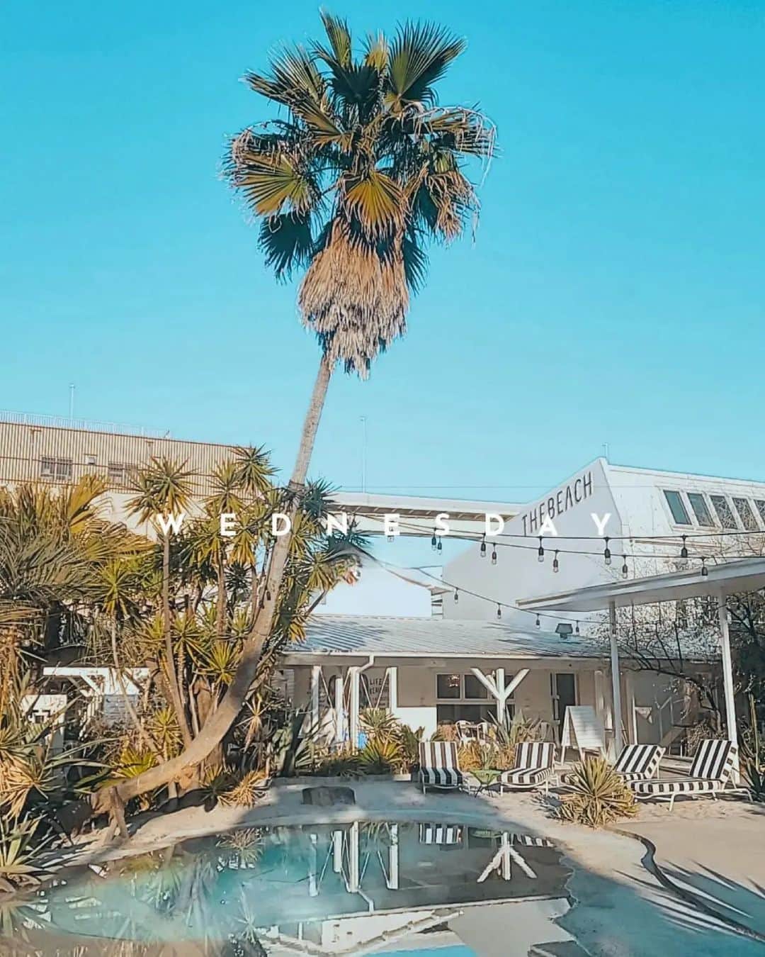 𝑵𝒐𝒓𝒊のインスタグラム：「明日からバリ島🌴✈⁡ ⁡.⁡ ⁡.⁡ ⁡.⁡ ⁡.⁡ ⁡.⁡ ⁡.⁡ ⁡.⁡ ⁡.⁡ ⁡.⁡ ⁡.⁡ ⁡.⁡ ⁡.⁡ ⁡.⁡ ⁡ってあたしの話じゃなくて姉夫婦がね😂⁡w ⁡しかも約2週間と少々長めの滞在⁡⁡💙 ⁡めっちゃ羨ましい😍⁡ ⁡.⁡ ⁡.⁡ ⁡.⁡ ⁡.⁡ ⁡.⁡ 我が家ももマイルでハワイ行きを考えてて⁡ ⁡でも来年の3月まで仕事みっちりと言われ⁡ ⁡それでもなんとか行けないかと日程考えて ⁡本日問い合わせしてみたものの⁡ ⁡あえなく夢砕け散りました😅‪‪😭💔⁡⁡ ⁡その理由は......ストーリー見てねw ⁡.⁡ ⁡.⁡ ⁡.⁡ ⁡⁡.⁡ ⁡.⁡ まだまだコロナの呪縛は解かれてないんだと今日実感。⁡ ⁡全て普通に戻るのはいつになるんだろ.....😮‍💨⁡ ⁡.⁡ ⁡.⁡ ⁡.⁡ ⁡.⁡ ⁡.⁡ ⁡ちょっと期待大きくなってたから⁡ ⁡撃沈しすぎてなんか色々やる気失せたわ🤦‍♀️💭💦⁡⁡ ⁡ちょっとポロリ😢したのはここだけの話🤣w ⁡.⁡ ⁡.⁡ ⁡.⁡ ⁡.⁡ ⁡.⁡ ⁡#cafe #yokohama #instacafe #cafestagram ⁡ ⁡#cafetime #cafelover ⁡#cafe# ⁡#カフェ #カフェ好き #カフェタイム #カフェスタグラム ⁡ ⁡#おしゃれカフェ #カフェ活 #カフェ部 ⁡ ⁡#ハワイ #バリ島 #旅行 #海外旅行 #南国 #行きたい ⁡ ⁡#風景 #景色 #スマホ写真部 #海好き #横浜 #定番⁡ ⁡#カフェ好きな人と繋がりたい #カフェ巡り #青空」