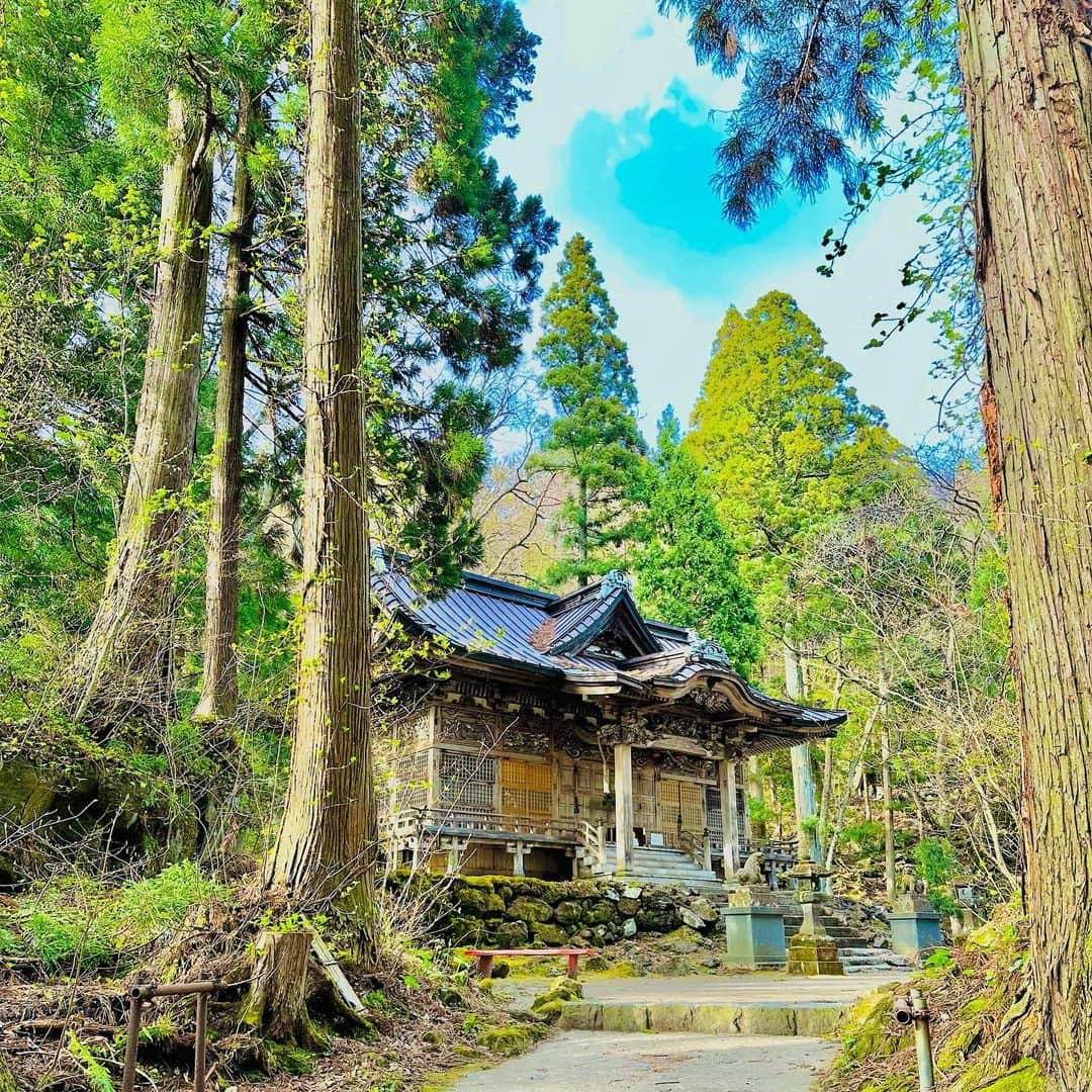 LOVE ME DOさんのインスタグラム写真 - (LOVE ME DOInstagram)「#十和田神社 に行きました！ 巨石を抱く樹木が沢山あって、 物凄いパワーを感じました。 YouTubeに動画をアップしてあるので、 そちらを見て運気を高めてね！ #良縁 、 #子宝 、 #安産祈願  などを含め、 #運気アップ に #待ち受けにどうぞ #青森県十和田市 #青龍権現 #熊野権現  #十和田湖」4月26日 14時43分 - lovemedo_fortunteller