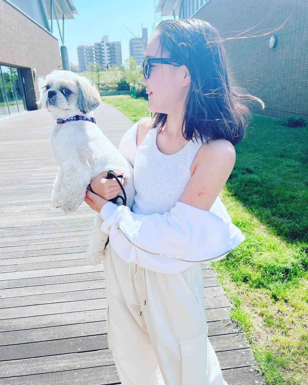 代田萌花さんのインスタグラム写真 - (代田萌花Instagram)「姉妹とまろん🐕 姉妹の癒しはマロン🌰  #姉妹#もかにな #シーズー#sister#愛犬#シーズー大好き部」4月26日 16時05分 - micky.kira