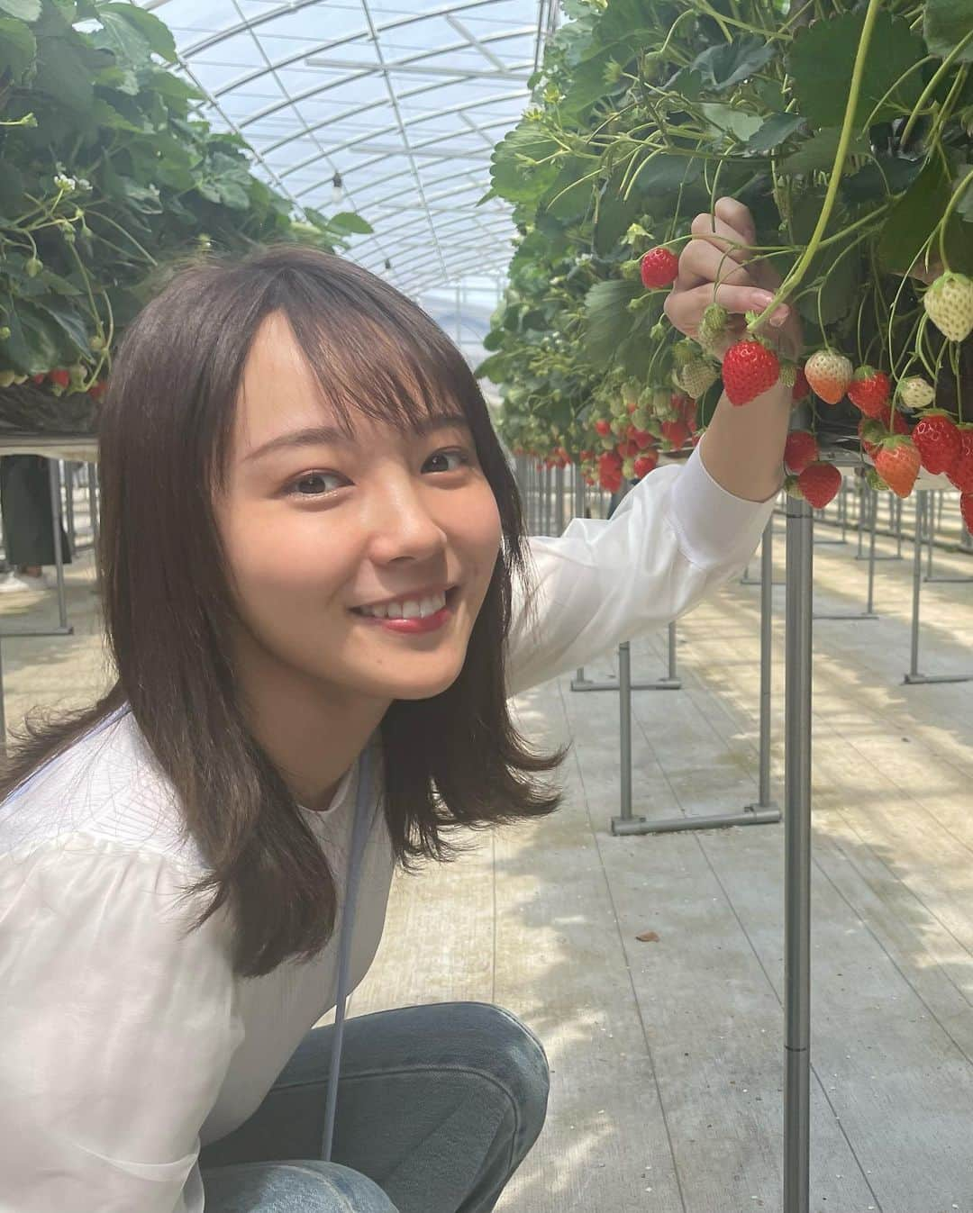 森千晴さんのインスタグラム写真 - (森千晴Instagram)「今年も行けましたいちご狩り🍓 8種類食べ比べ最高だった🤤🤤🤤  #食べ比べ好き #いちご狩り #ラストスパート」4月26日 16時06分 - mori.chiharu