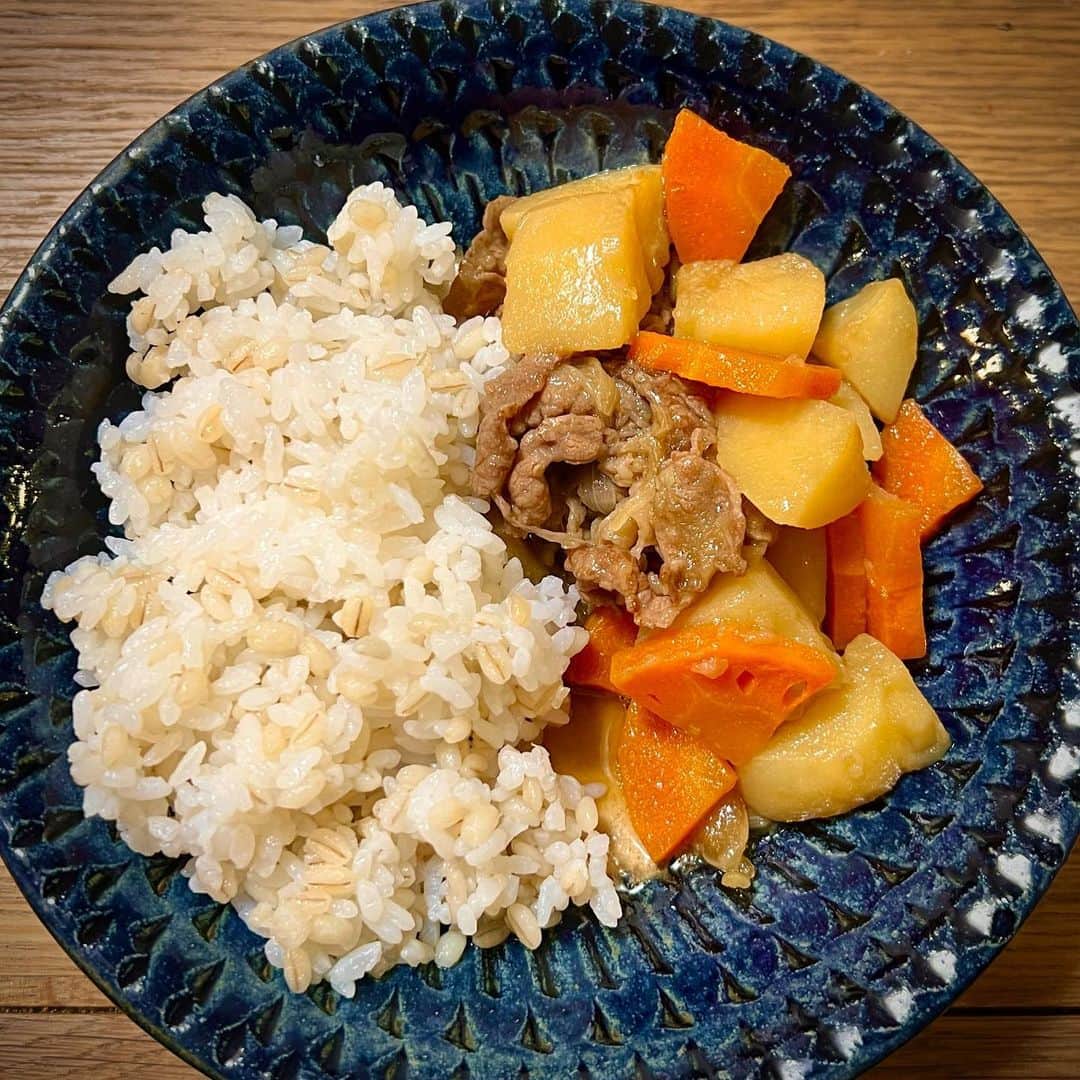 竹井亮介のインスタグラム：「2023年4月26日。 肉じゃがライス。  この盛り付けは、私のみ。 家族は器を分けてます。 #とっつぁん料理」