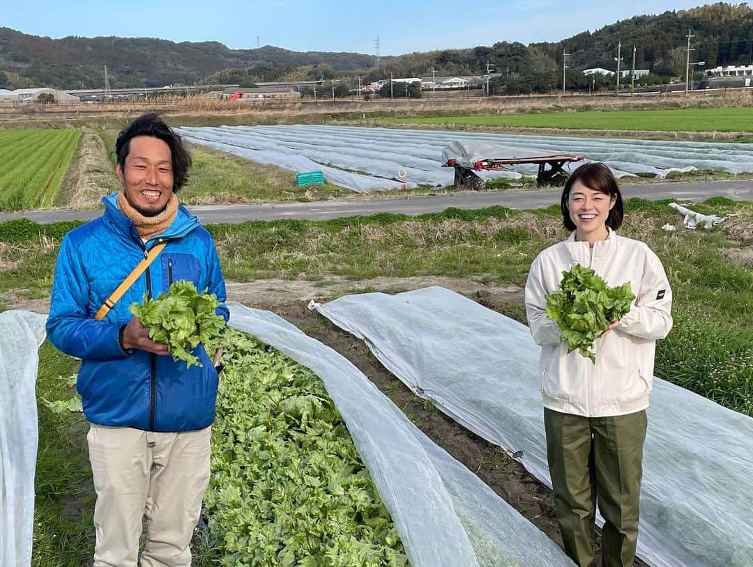 川瀬良子さんのインスタグラム写真 - (川瀬良子Instagram)「【旅色LIKES】  こんにちは！  農業旅アンバサダーの川瀬良子です😊  連載を担当させて頂いている #川瀬良子の農業旅 4月24日に「鹿児島農業旅」が公開されました〜😆  前回に引き続き鹿児島での旅、なんですが 今回は、いちき串木野市“唯一”のいちご農園や、 畑を移しながらつくるレタス農家さん、 さらに近隣の垂水市（たるみずし）の カンパチ漁協の方たちにお話を伺いました！  取材・インタビュー・そして毎回一生懸命文章を書いております🤣✏️  ［旅色LIKES 川瀬良子］と検索してみて下さいね！  https://tabiiro.jp/likes/authors/m014/  ぜひぜひ！読んでいただけると嬉しいです！ 感想も😊お待ちしていますっ👏🏻  🍊🍊🍊  今回の鹿児島の農業旅は、 記事に載せられなかったたくさんの出会いや、 鹿児島ならではの体験があり、 本当に濃く、これからも繋がっていけると嬉しいな〜！と思える事が、いろ〜いろありました😆  記事の最後にも書かせていただいたのですが、 みなさん地元愛がとても深くて、 そしてユーモアたっぷり！ 終始、笑いっぱなしでした🤣  出会えたみなさんこそが魅力の鹿児島🌈  お世話になったみなさま！ 本当に本当に😆 ありがとうございました👏🏻👏🏻👏🏻  ✈️✈️✈️  #旅色 #旅色LIKES #鹿児島 #いちき串木野市 #垂水市 #農業 #農業旅 #いちご #レタス #カンパチ」4月26日 16時32分 - kawase_ryoko