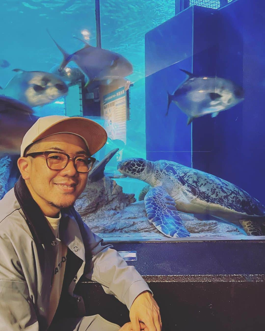 シオマリアッチさんのインスタグラム写真 - (シオマリアッチInstagram)「しながわ水族館はいいよな〜🐠  #しながわ水族館 #いいよな」4月26日 16時33分 - shiomariacchi