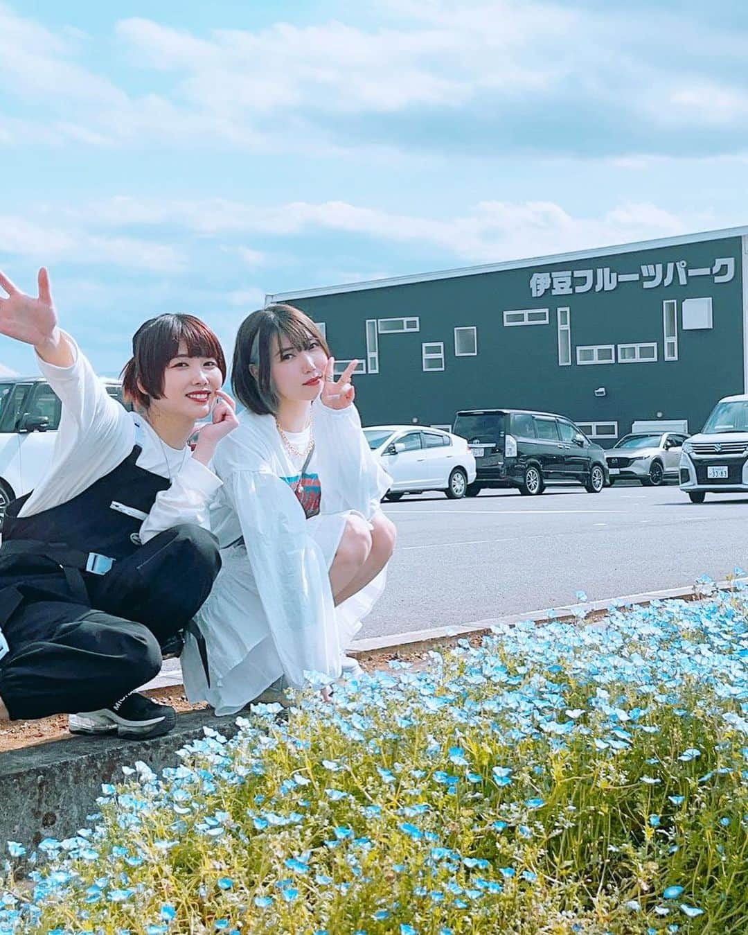 相坂優歌さんのインスタグラム写真 - (相坂優歌Instagram)「. トガラジバスツアー 「気分浄々修学旅行ー伊豆のトガリ子ー」  2日目の写真〜〜〜  浄蓮の滝でパワーいただいたあと、急な階段でみんなに疲労をもたらしたり 修善寺をぐーるぐると巡ったり いちご狩りをしたりして とてもとても楽しかったから、お別れがめちゃくちゃ寂しかったです。  みんなのバスを見送るとき、時間が巻き戻らないかなーとぼんやり考えてて そんなふうに思わせてくれてほんとにありがとねって感謝が ブワーーと溢れました、  またやりましょう、バスツアーでもイベントでもなんでもいいので みなさんに会える機会がほしいです。！ そしてそのときは是非、今回来られなかった方もいらしてください！  そしてそれまでの間 トガラジ復活がいつになるのかはまだちょっとわからないんですけど 時が来たら、またメールでうちらに絡みにきてください❤️‍🔥  #トガリズム #トガラジ #バスツアー #浄蓮の滝 #わさびアイス #修善寺 #伊豆フルーツパーク #いちご狩り #海老名SA #くくる」4月26日 16時43分 - yuuka_aisaka