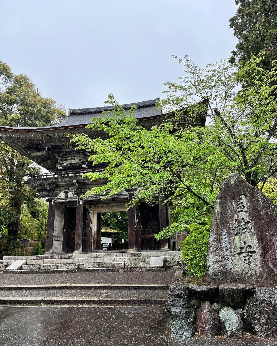 原田良也さんのインスタグラム写真 - (原田良也Instagram)「三井寺（園城寺）  かっこいい寺  #三井寺 #園城寺 #弁慶のひきずり鐘  #三井の晩鐘」4月26日 17時01分 - irasshassee