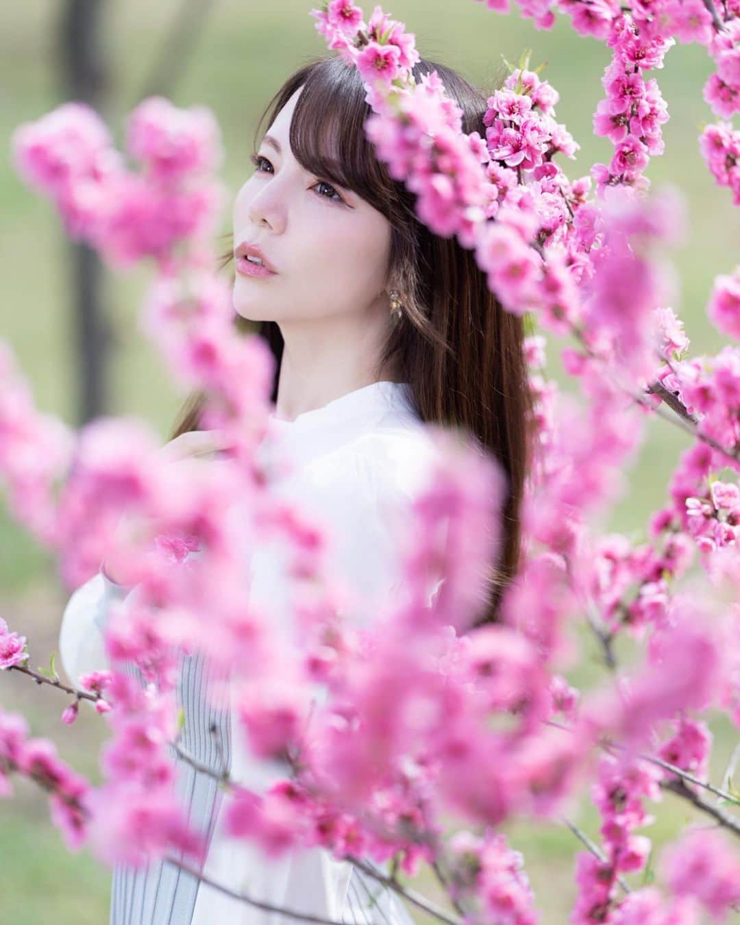Mikaさんのインスタグラム写真 - (MikaInstagram)「🌸桃の花🌸  明日はすっきり晴れるかな？ 早起きして栃木まで行ってきます❕ 撮影楽しみたい♡  ・ ・ ・ photo by @goxoxoxo 📸 model @mikarin_portrait  ・ ・ ・ ・ follow me💋  #美花展 #桃の花 #桃祭り #誰かの記憶に残る写真 #カメラ好きな人と繋がりたい #ファインダー越しの私の世界 #ポトレファン倶楽部 #被写体モデル #春の花が好き  #その瞬間は永遠の思い出 #みんなのフォト #ポトレ女子 #撮影依頼募集中 #jp_portrait部 #japanesegirl #asianbeauty #love_bestjapan #love_camera_club #jp_portrait #global_ladies #photo_shorttrip #_lovely_weekend #japan_art_photography #portraitfestival #portraitinlove #portrait_mood #exclusive_world_portrait  #instagood #instagramjapan」4月26日 17時10分 - mika_portrait