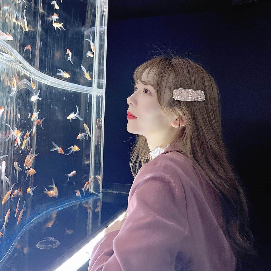 中川珠里さんのインスタグラム写真 - (中川珠里Instagram)「金魚さんいっぱい🐟🐟🐟   #アートアクアリウム  #銀座」4月26日 17時36分 - juri_nakagawa1