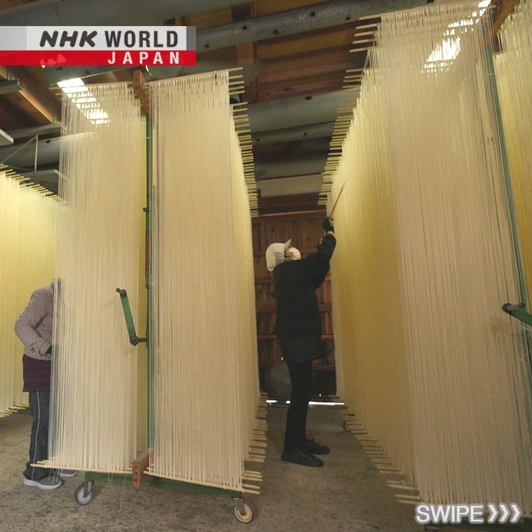 NHK「WORLD-JAPAN」さんのインスタグラム写真 - (NHK「WORLD-JAPAN」Instagram)「Do you know what these are?💭 Traditional Japanese somen noodles hanging out to dry. To be labeled ‘somen’, the noodles must be less than 1.3 mm thick. The thinnest (kamisugi somen) are around 0.4mm with very few artisans having the skills to make them.🍜 Swipe for more.👆 . 👉 See the fascinating process of making thin and springy delicious somen noodles. Watch｜Trails to Oishii Tokyo: SOMEN｜Free On Demand｜NHK WORLD-JAPAN website.👀 . 👉Follow the link in our bio for more on the latest from Japan. . 👉If we’re on your Favorites list you won’t miss a post. . . #somen #素麺 #somennoodles #homare #odamaki #kamisugi #japanesenoodle #makingnoodles #noodleworship #japanesefood #japanesecuisine #noodles #japanesenoodles #nara #japan #nhkworldjapan」4月27日 6時00分 - nhkworldjapan