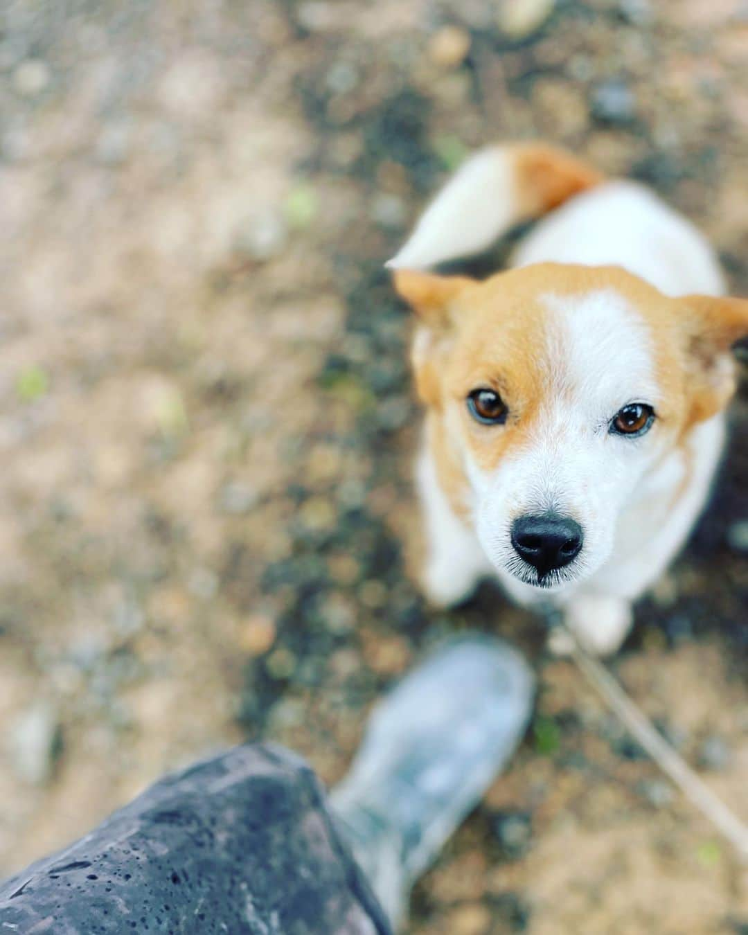 幸太さんのインスタグラム写真 - (幸太Instagram)「Throwback Amami island   旅に出ながら、旅を振り返る  昔は毎回ドキドキしながら旅して 色んな体験をしてたけど  今は携帯やインターネットがあるから、毎回ふんわりした予定しか立てないでいく  その時誰と会い、誰と過ごし 何を食べて、何を見て なにを感じるか…  パーフェクトな旅も良いかも知れないけど、  そこで何を感じるか… Live感を大切にしたいかな  #amamiisland  #surftrip  #triplovers  #奄美大島の旅 #サーフトリップ #波乗り合宿 #奄美大島グリーンヒル  #旅するモデル」4月26日 17時40分 - kotawave