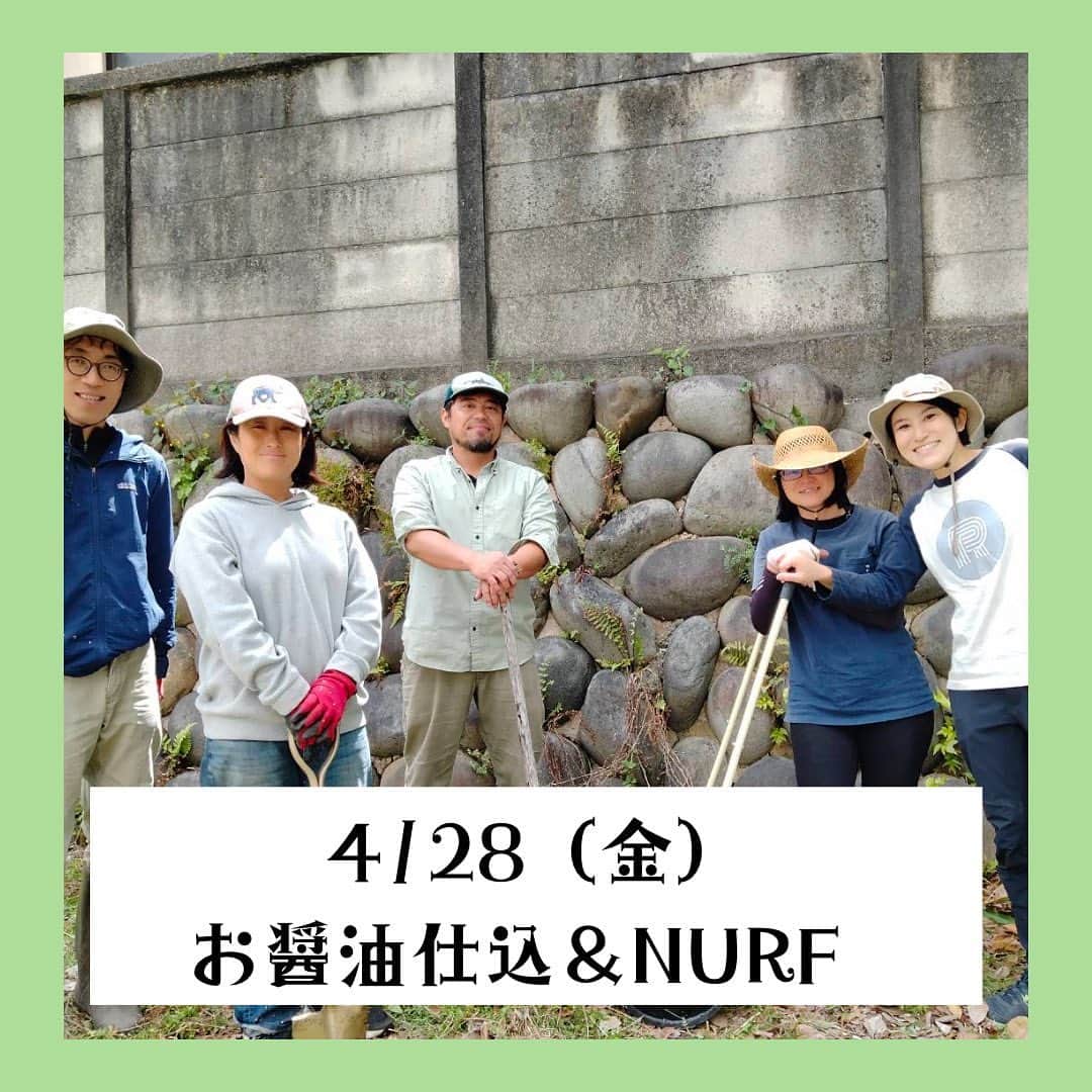 空木マイカさんのインスタグラム写真 - (空木マイカInstagram)「明後日28日の東別院朝市で  10:00〜  お醤油仕込み 12:00〜  NURF夏野菜植えつけ 15:00すぎ〜　NURF土壌改良  やります！  NURF:Nagoya Urban Regenerative Farmは都会の空き地で、リジェネラティブ農業によって炭素固定をしながらエディブルガーデンをつくり、名古屋をエディブルシティにしていくプロジェクトです。  NURFのファームは東別院の北側の通り沿い、お醤油は本堂前でやる予定です。当日の作業の都合によって若干の時間前後はご了承ください🙇‍♀️  どちらも申し込み不要、参加費無料、だれでも楽しんでいただけます！汚れても良い格好（お醤油は袖がまくれた方がいいかな）、NURFは軍手・スコップご持参ください。  私自身ちゃんと時間通りに仕切っていけるのか未知すぎて、ドキドキなのですが😂みんなで一緒に楽しくできたらいいなっと思ってます！お待ちしています🥰 #醤油づくり #リジェネラティブオーガニック  #リジェネラティブ農業  #東別院 #東別院暮らしの朝市」4月26日 17時55分 - maika_utsugi