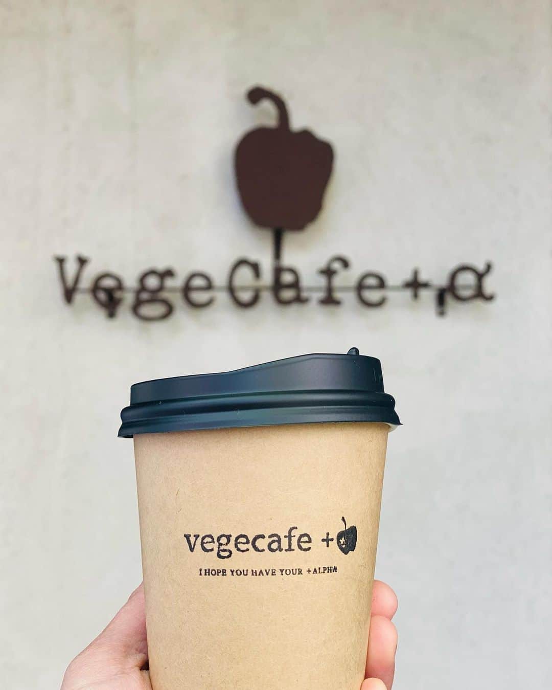 vegecafe＋αのグルメインスタ