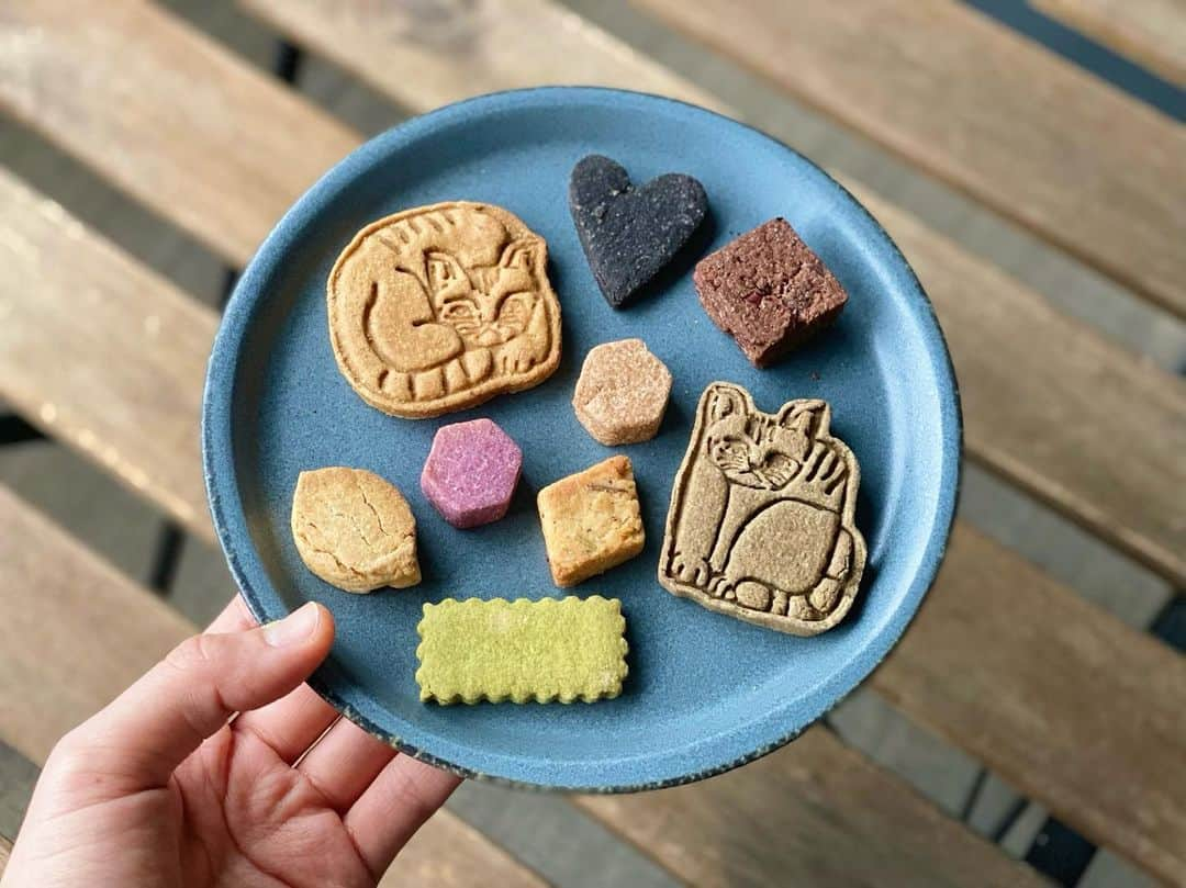 南雲穂波のインスタグラム：「にゃんとも可愛いクッキー🐾  A'bake Boîte à bijoux chat "猫の宝石箱"  "Artを感じるギルトフリーなお菓子"✨ 見た目の美しさと美味しさに癒されます🐈‍⬛ 小麦粉･卵･乳製品不使用、白砂糖･保存料･香料･着色料も不使用、ハーブ･スパイス類もなるべくオーガニックな物を使っているそうです.  ちなみにお皿はけさ#ドデスカ！のメ〜ロメロ！で紹介されていた#KEYUCA の美濃焼souシリーズです. このサイドフラットプレートを以前から愛用していて、全サイズ持っています☻  #abake #ヴィーガンクッキー #グルテンフリークッキー #メーテレアナウンサー #南雲穂波」